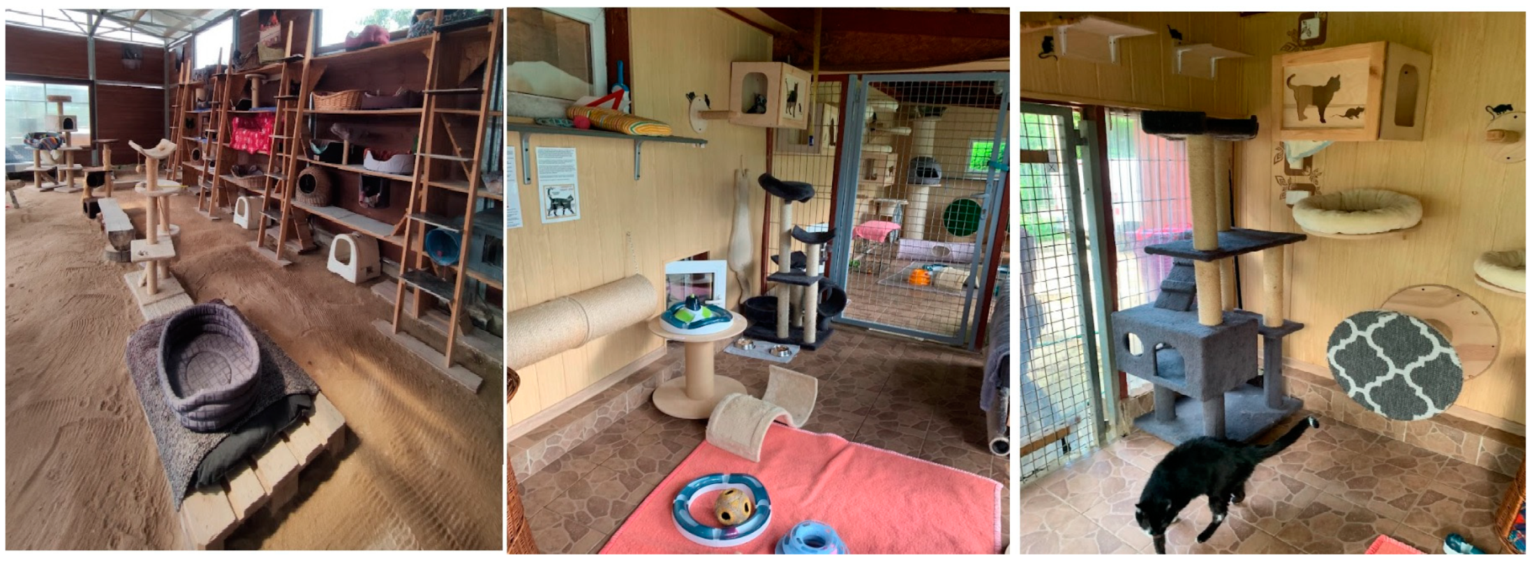 Animals 14 01392 g002