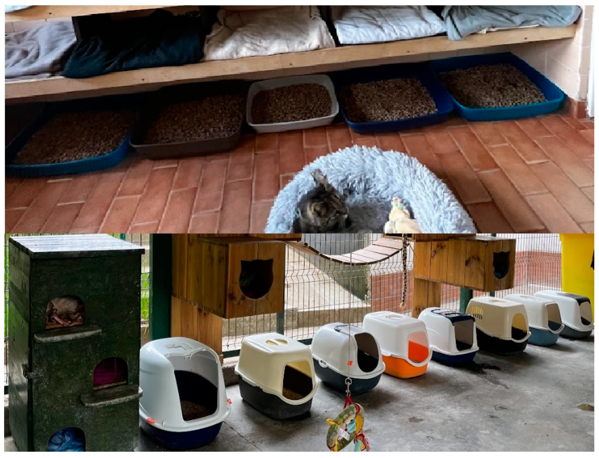 Animals 14 01392 g003