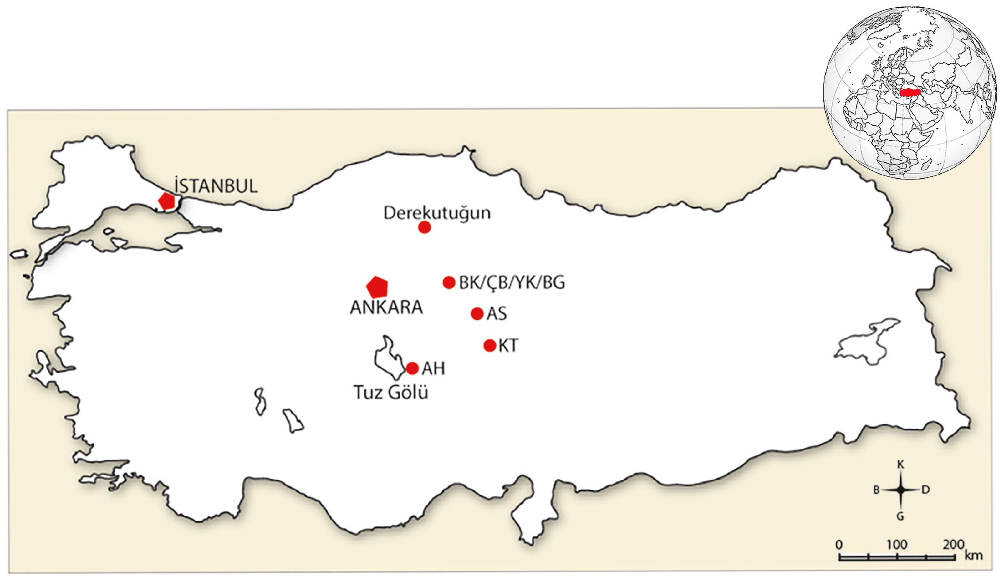 Animals 14 01397 g001