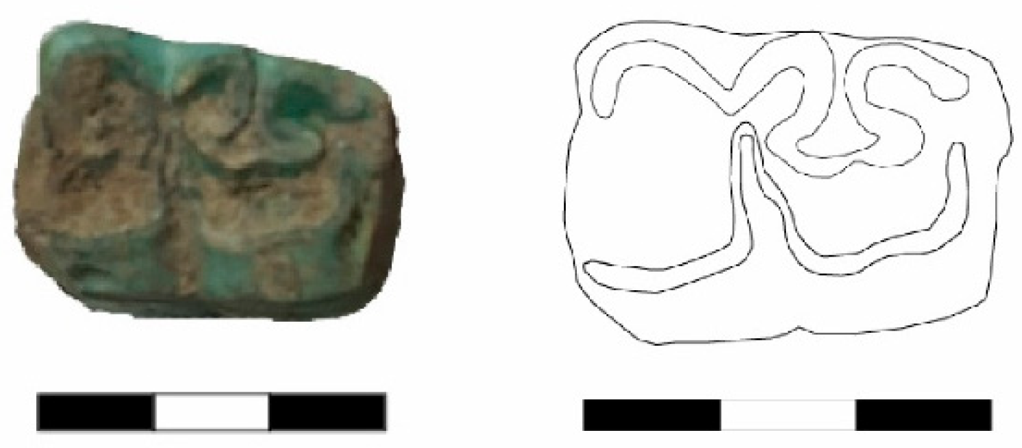 Animals 14 01397 g004