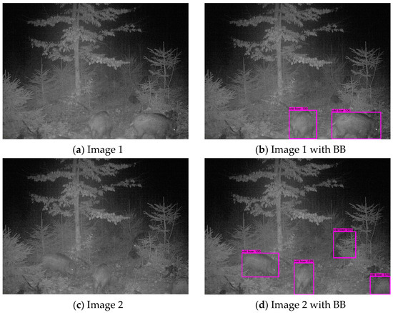 Animals 14 01408 g0a6a