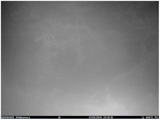 Animals 14 01408 g0a7