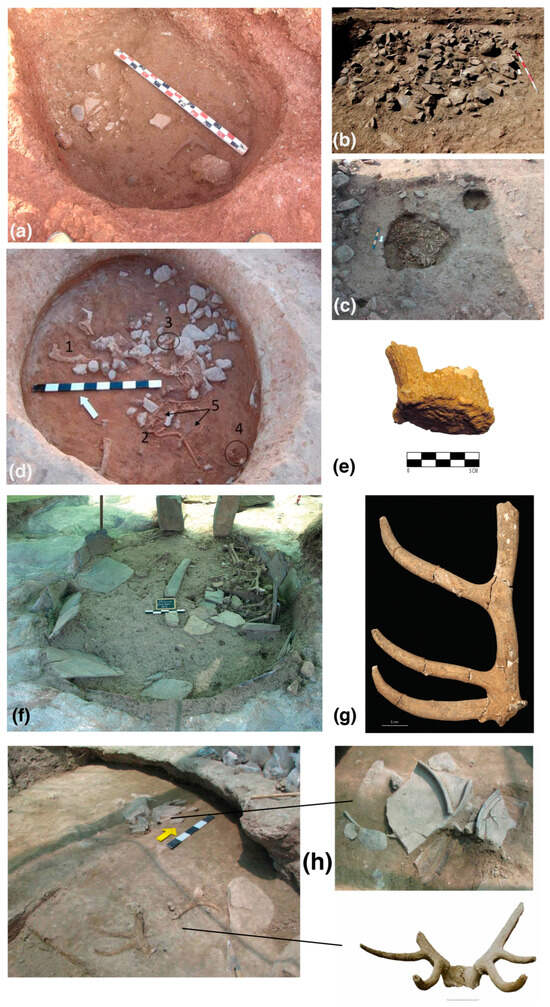 Animals 14 01424 g003