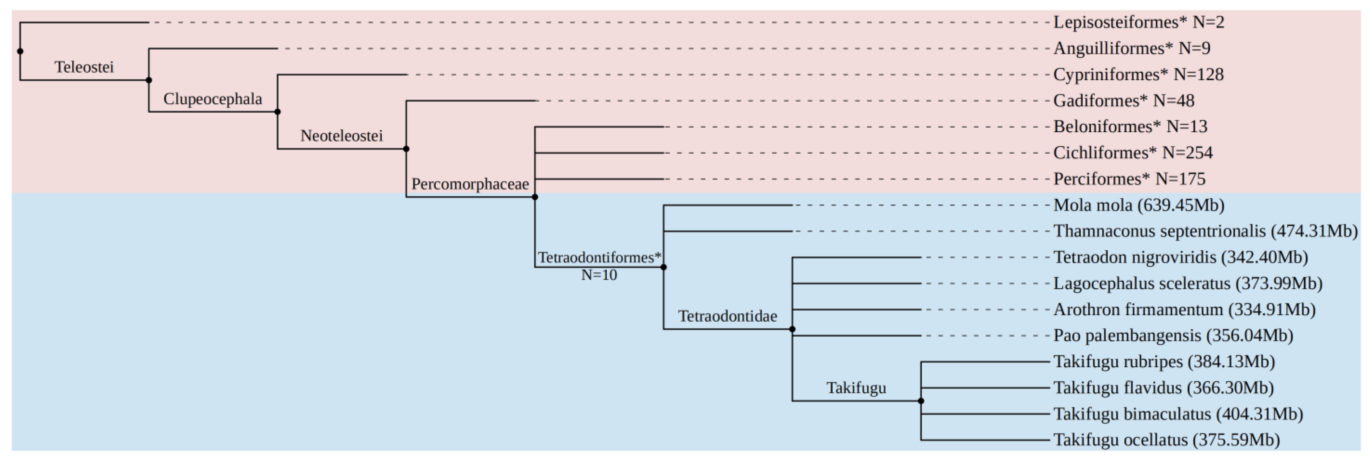 Animals 14 01425 g001