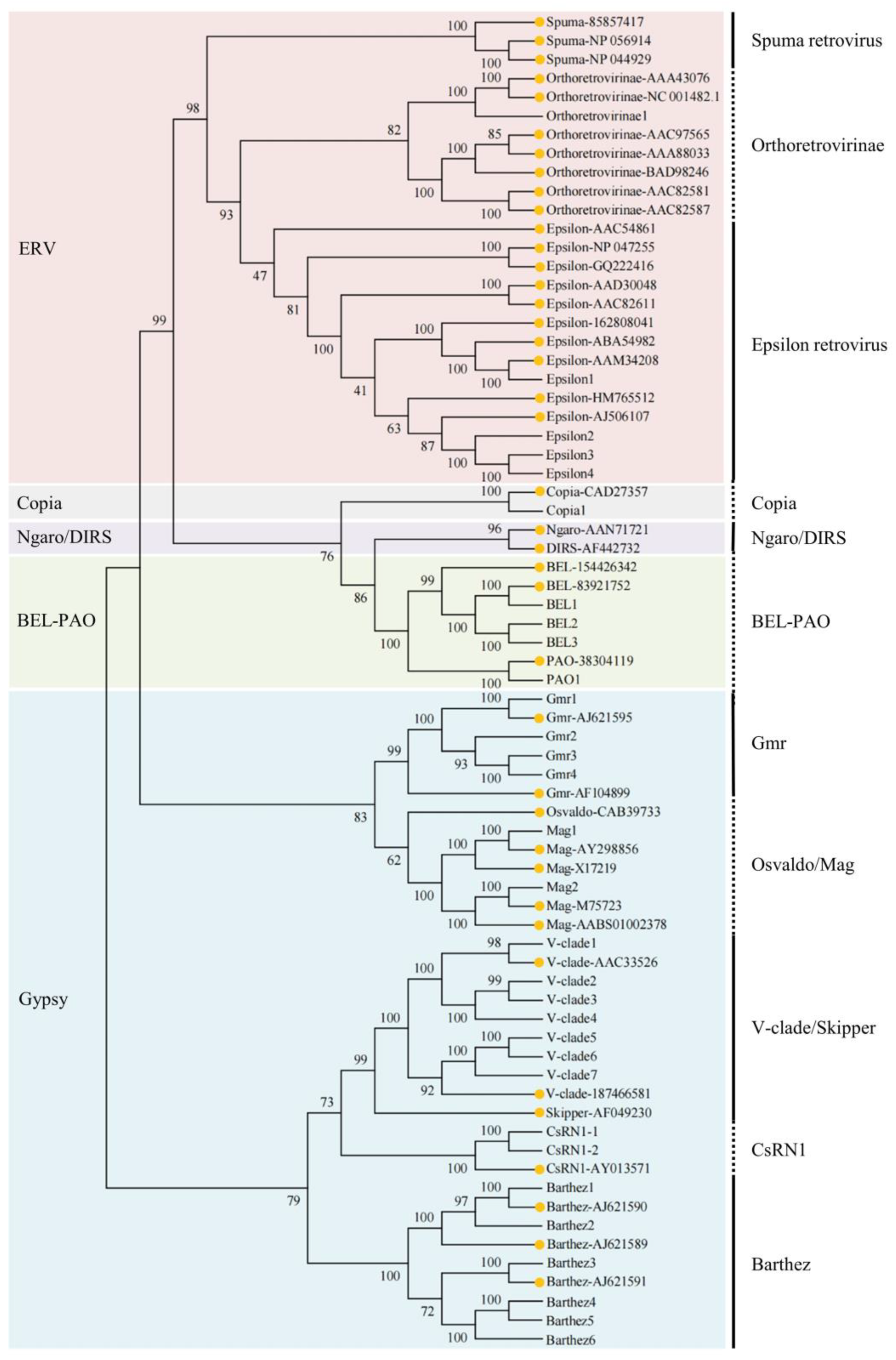 Animals 14 01425 g002