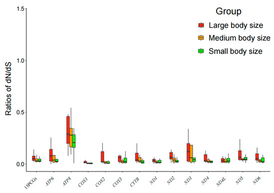 Animals 14 01434 g002