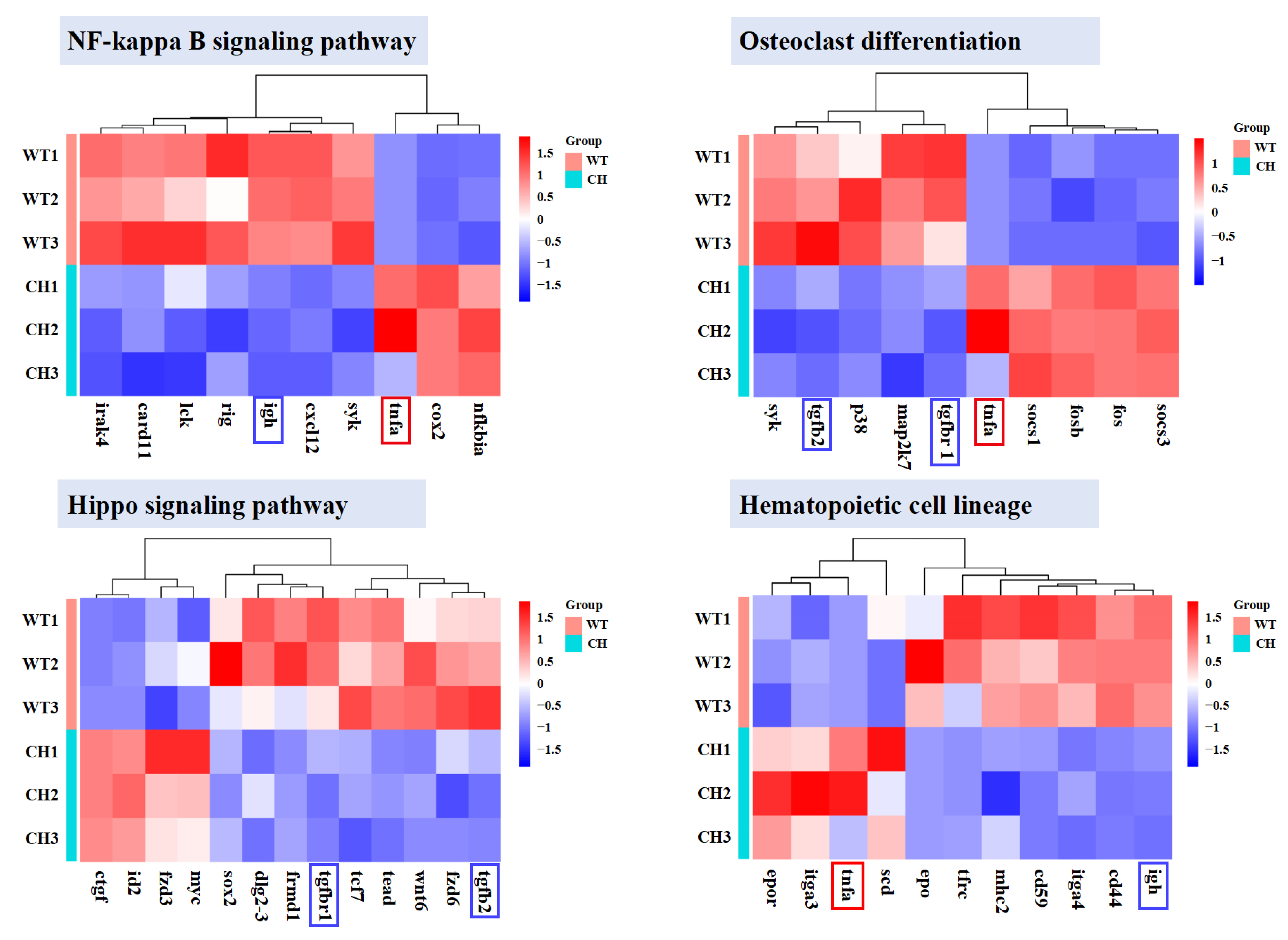 Animals 14 01451 g005 Animals 14 01451 g005