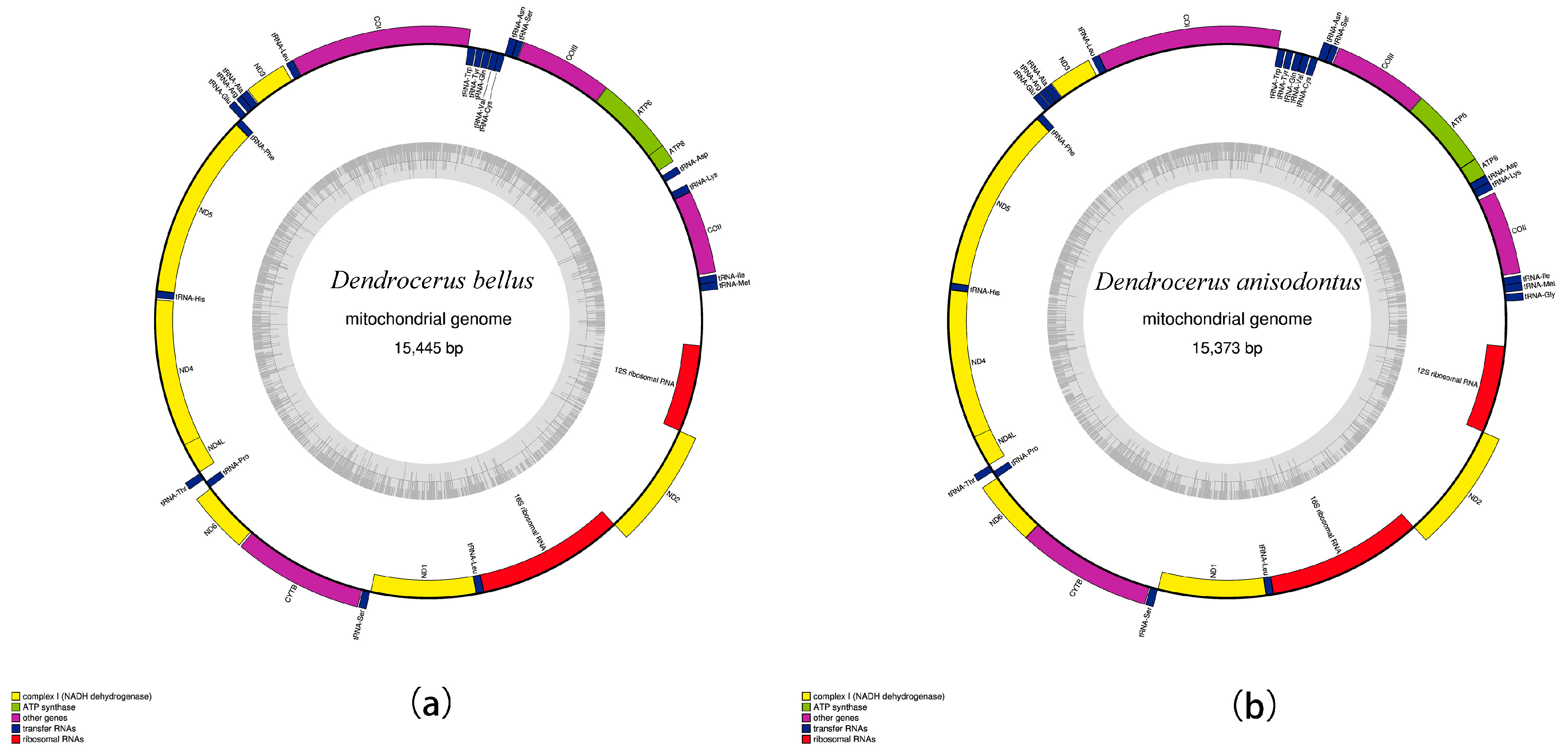 Animals 14 01454 g001 Animals 14 01454 g001