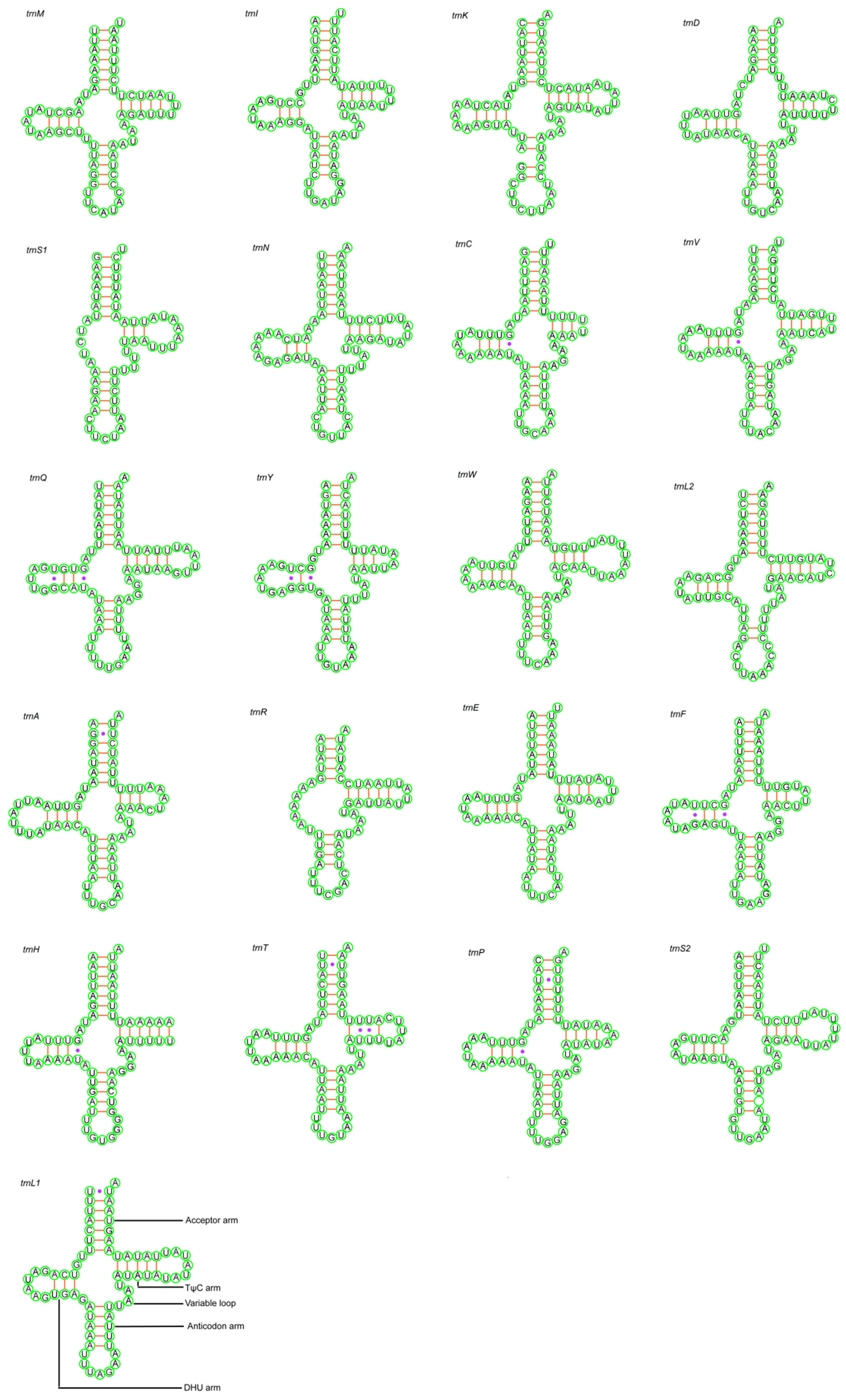 Animals 14 01454 g003 Animals 14 01454 g003