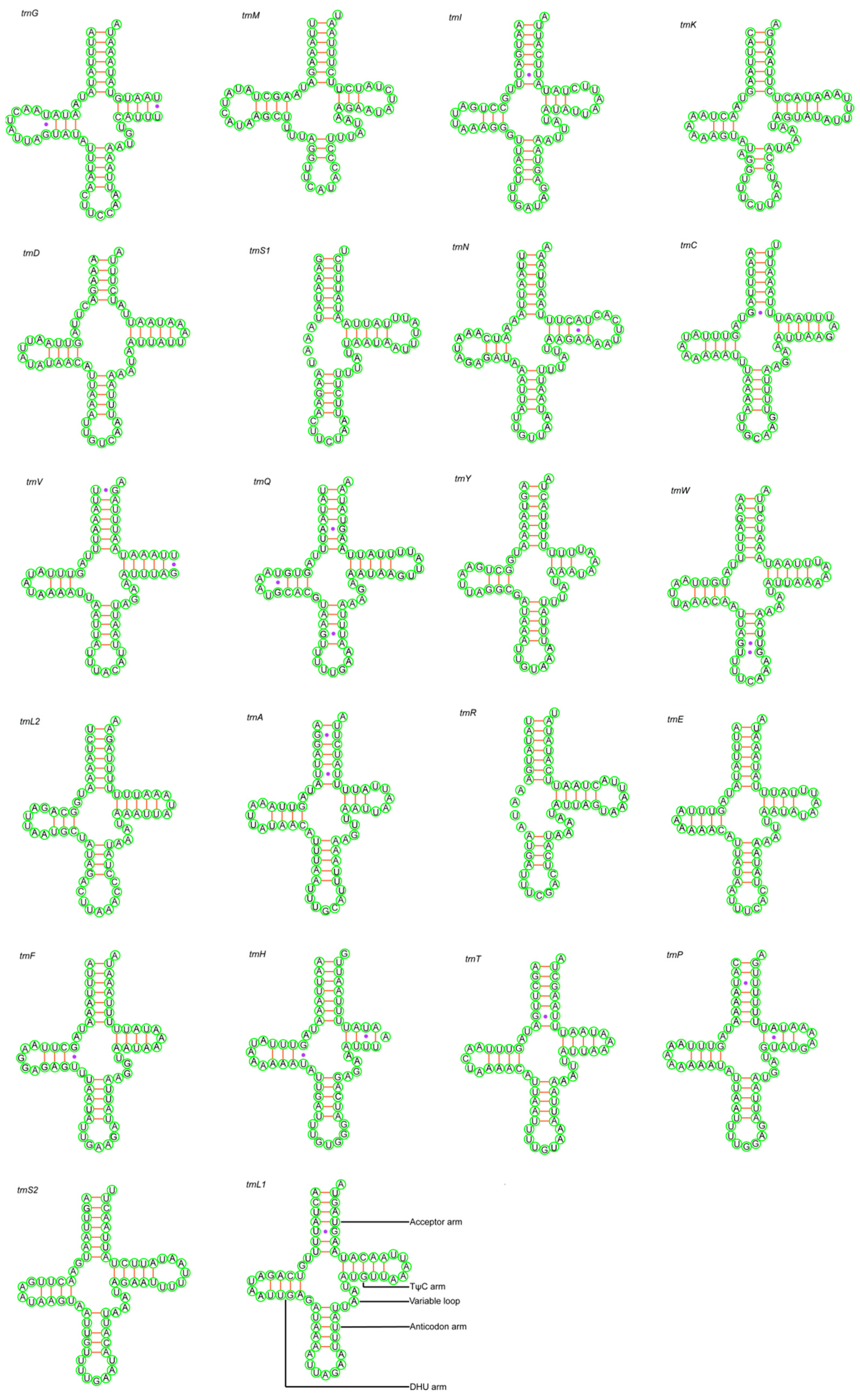 Animals 14 01454 g004 Animals 14 01454 g004