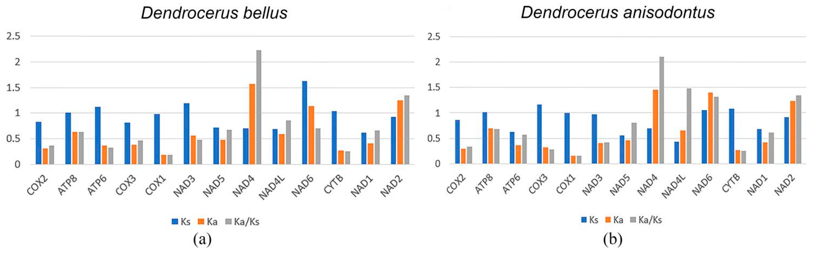 Animals 14 01454 g005 Animals 14 01454 g005