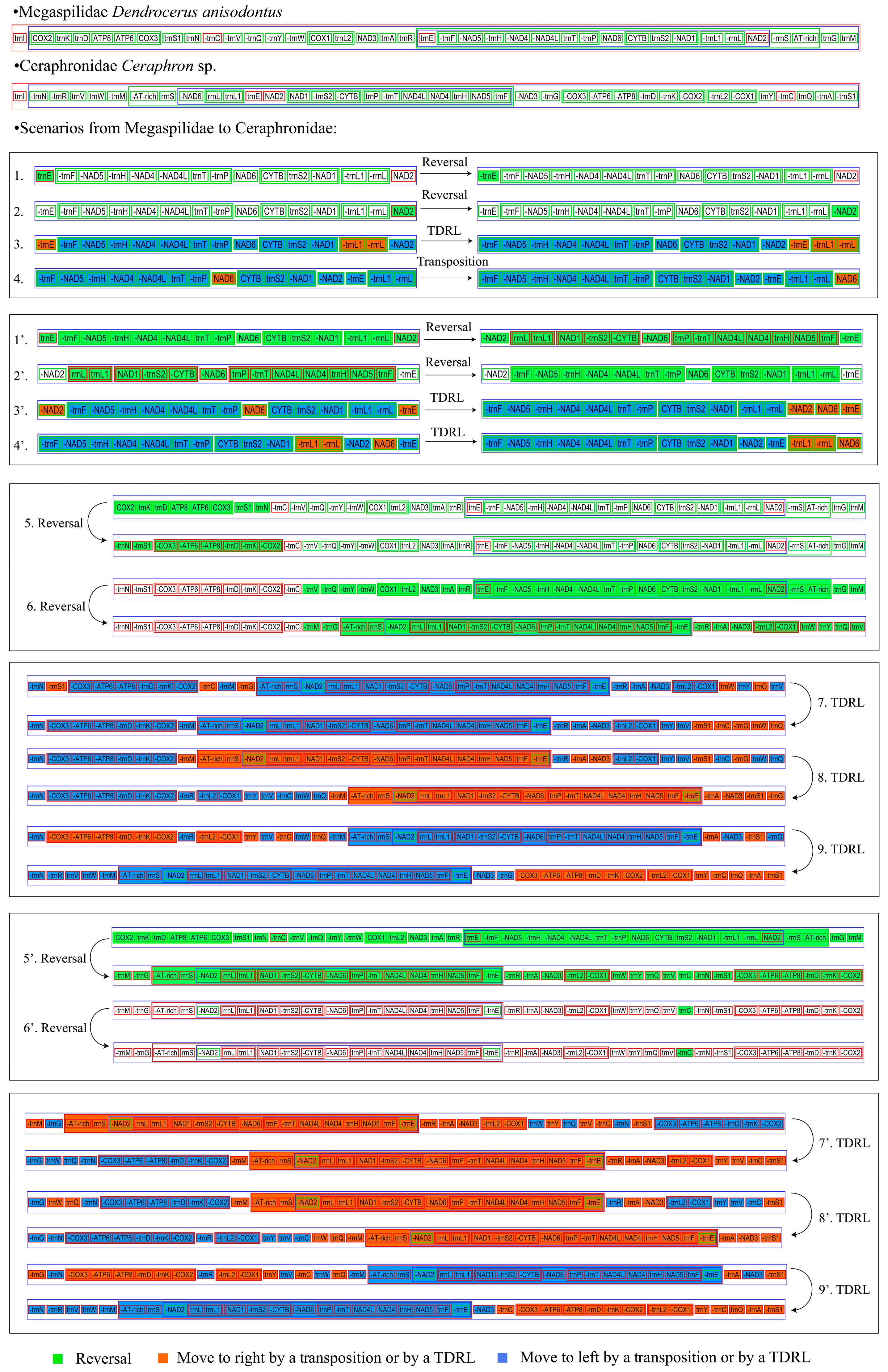 Animals 14 01454 g006 Animals 14 01454 g006