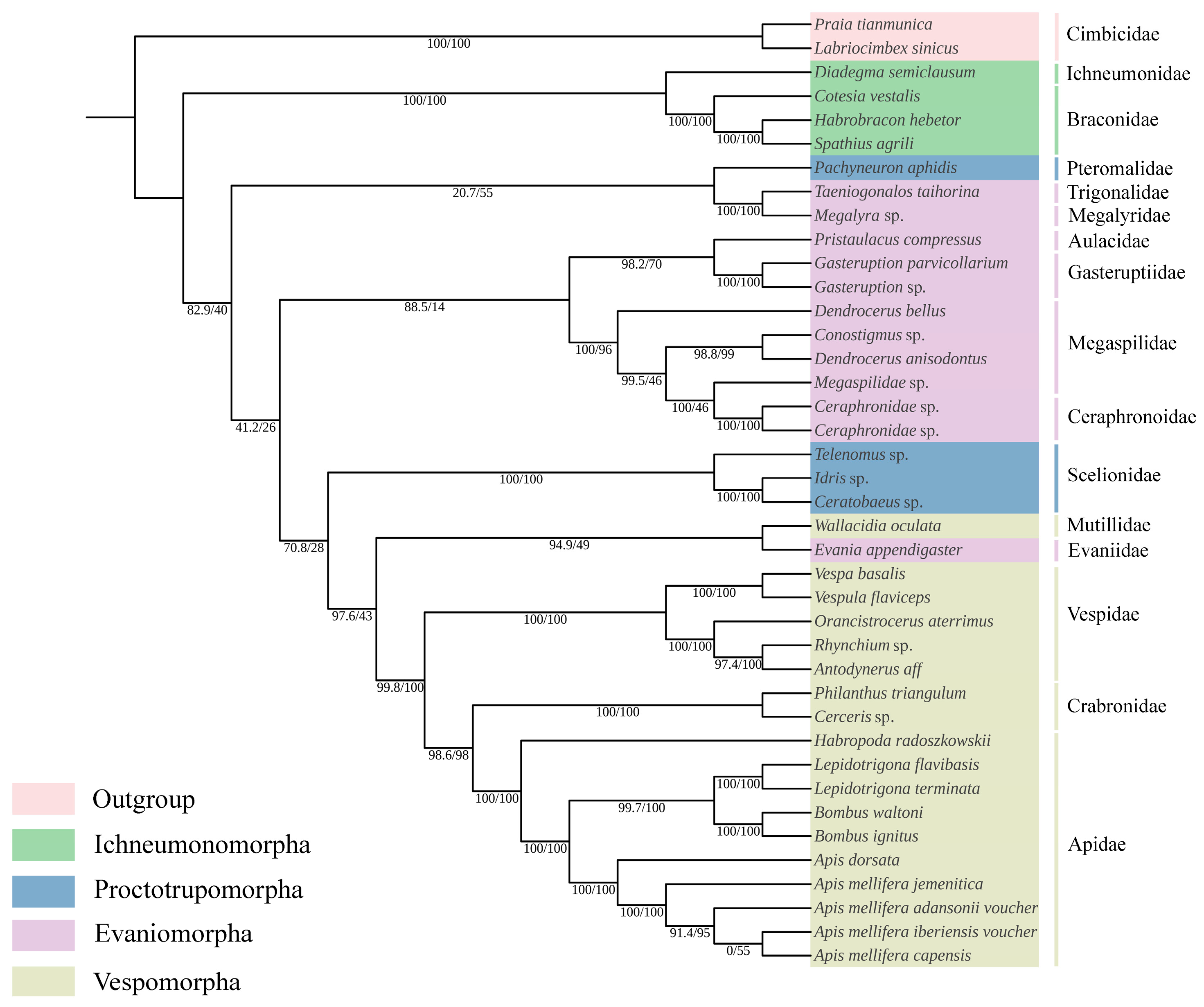 Animals 14 01454 g007 Animals 14 01454 g007