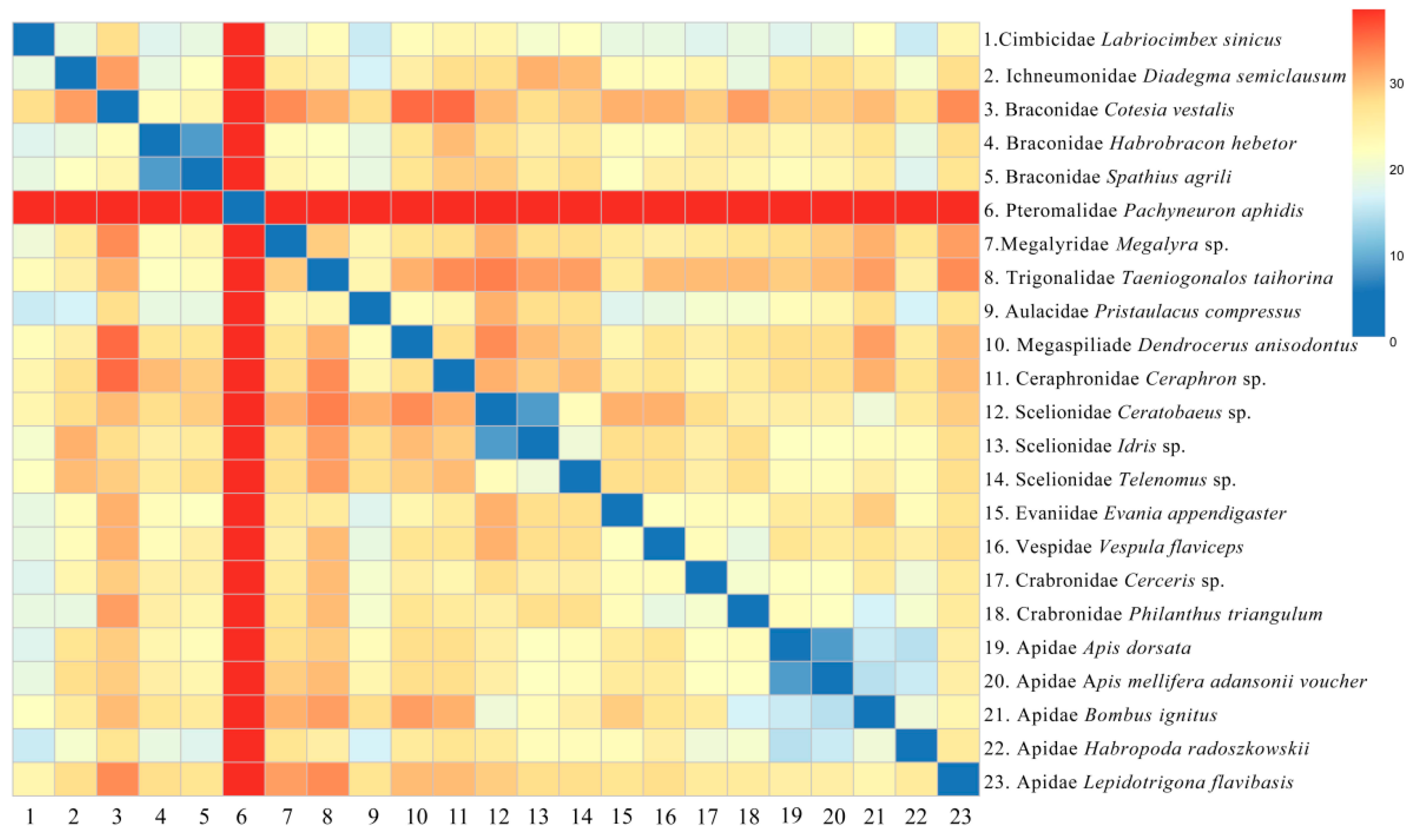 Animals 14 01454 g008 Animals 14 01454 g008