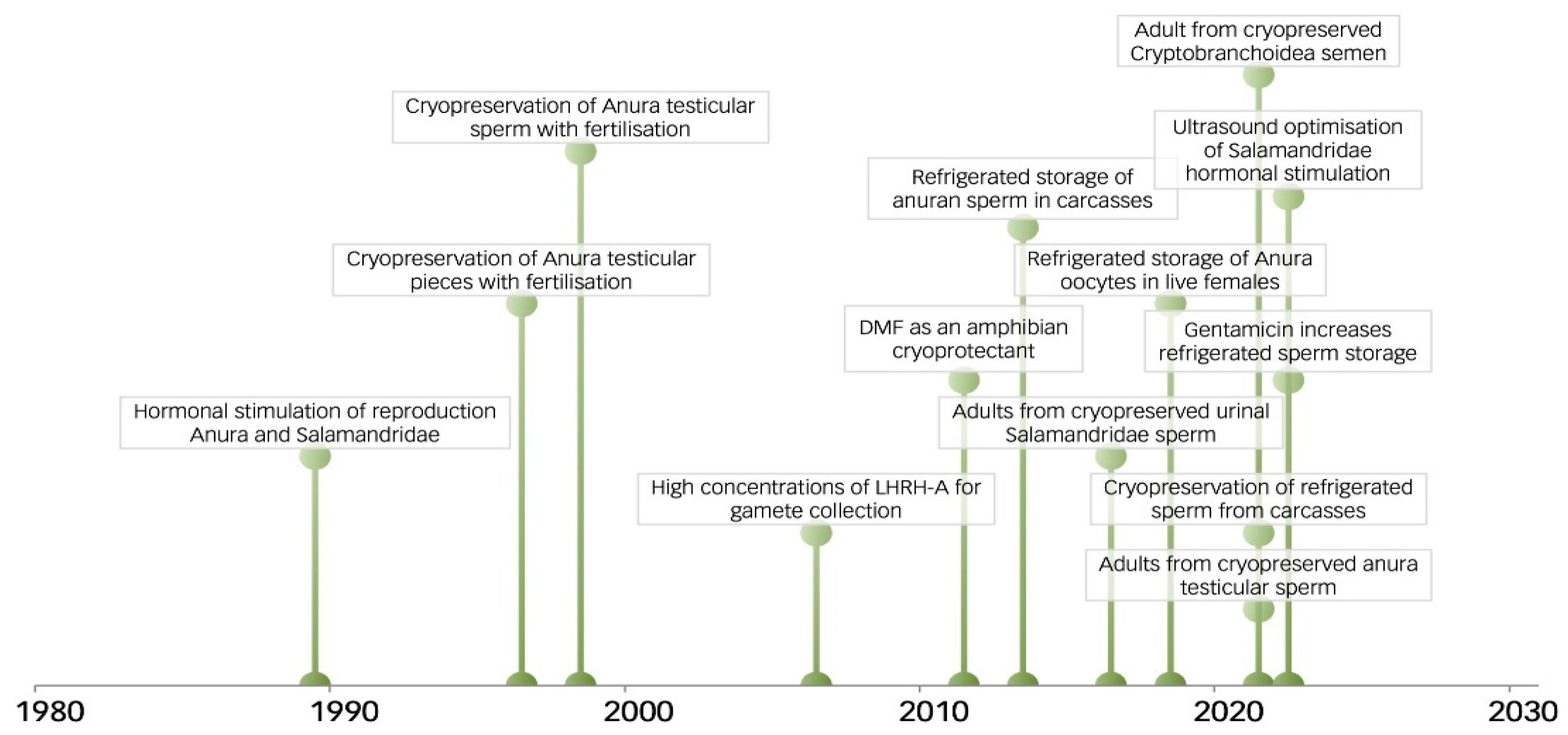 Animals 14 01455 g002