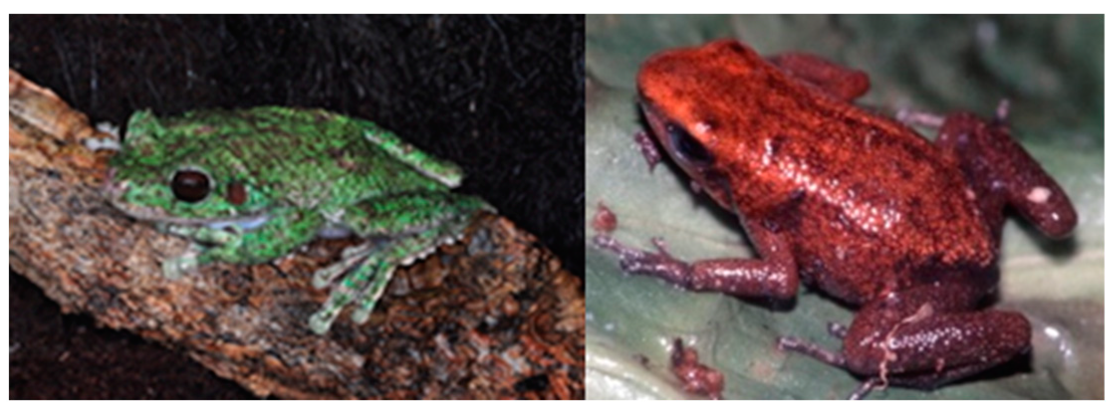 Animals 14 01455 g003