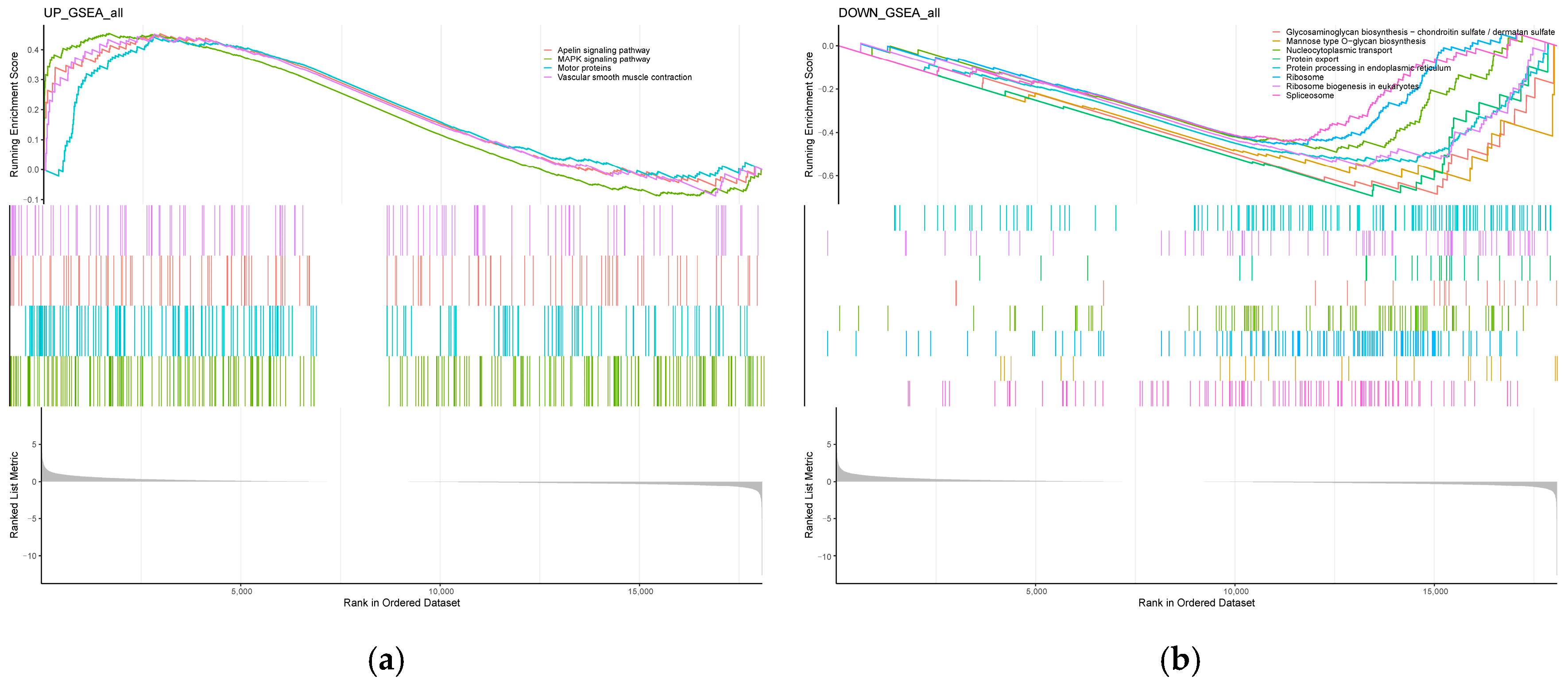 Animals 14 01477 g005