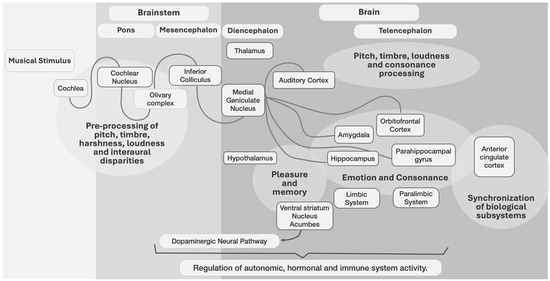 Animals 14 01491 g001
