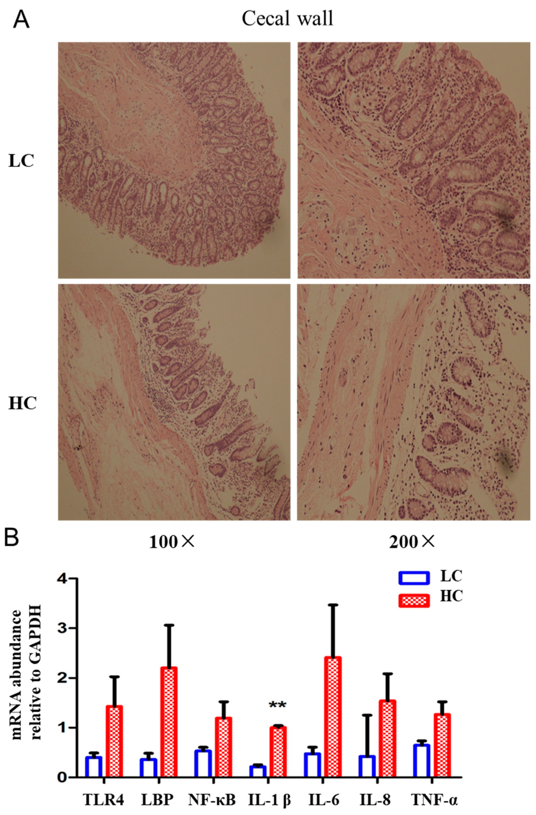Animals 14 01495 g004