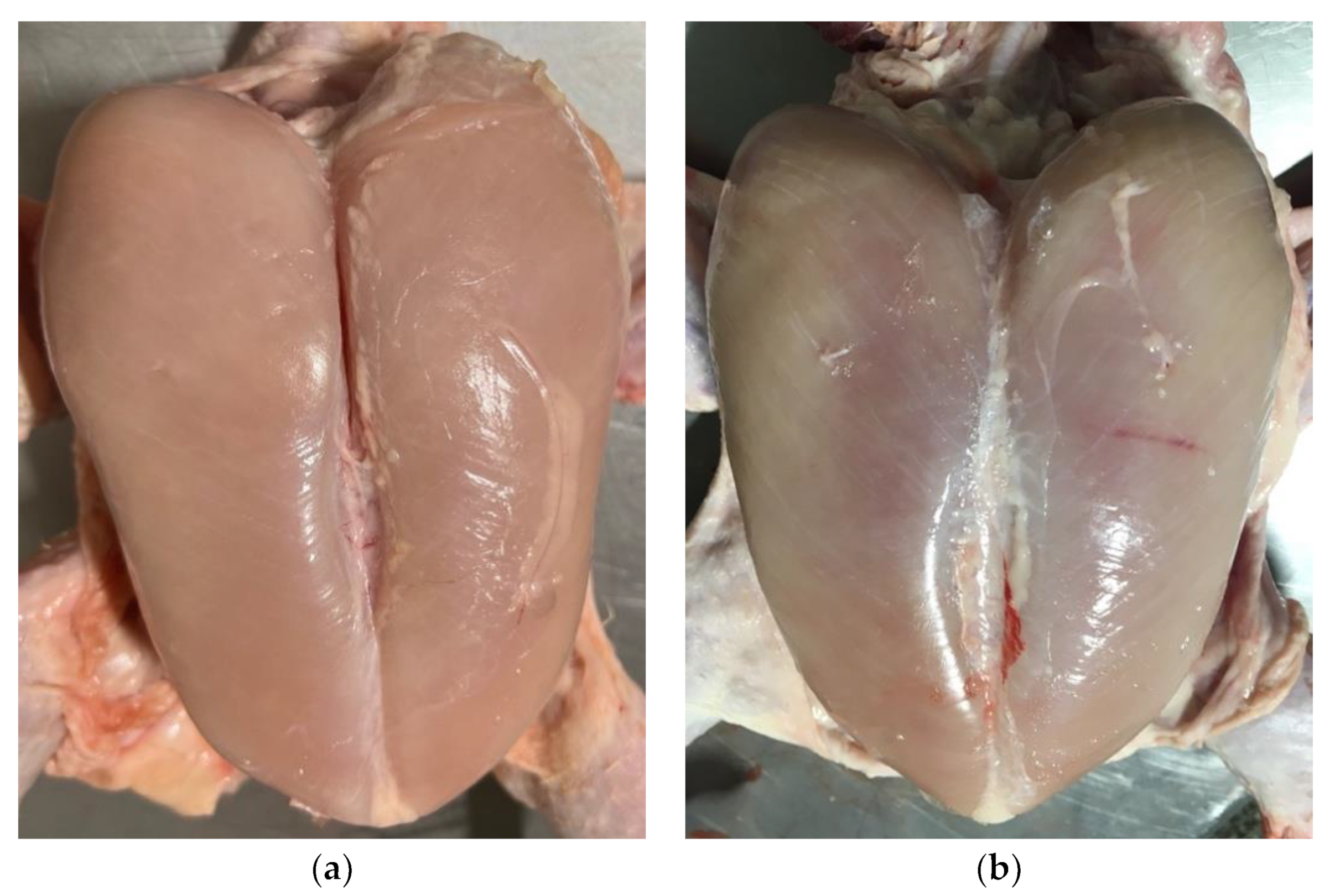 Animals 14 01499 g001