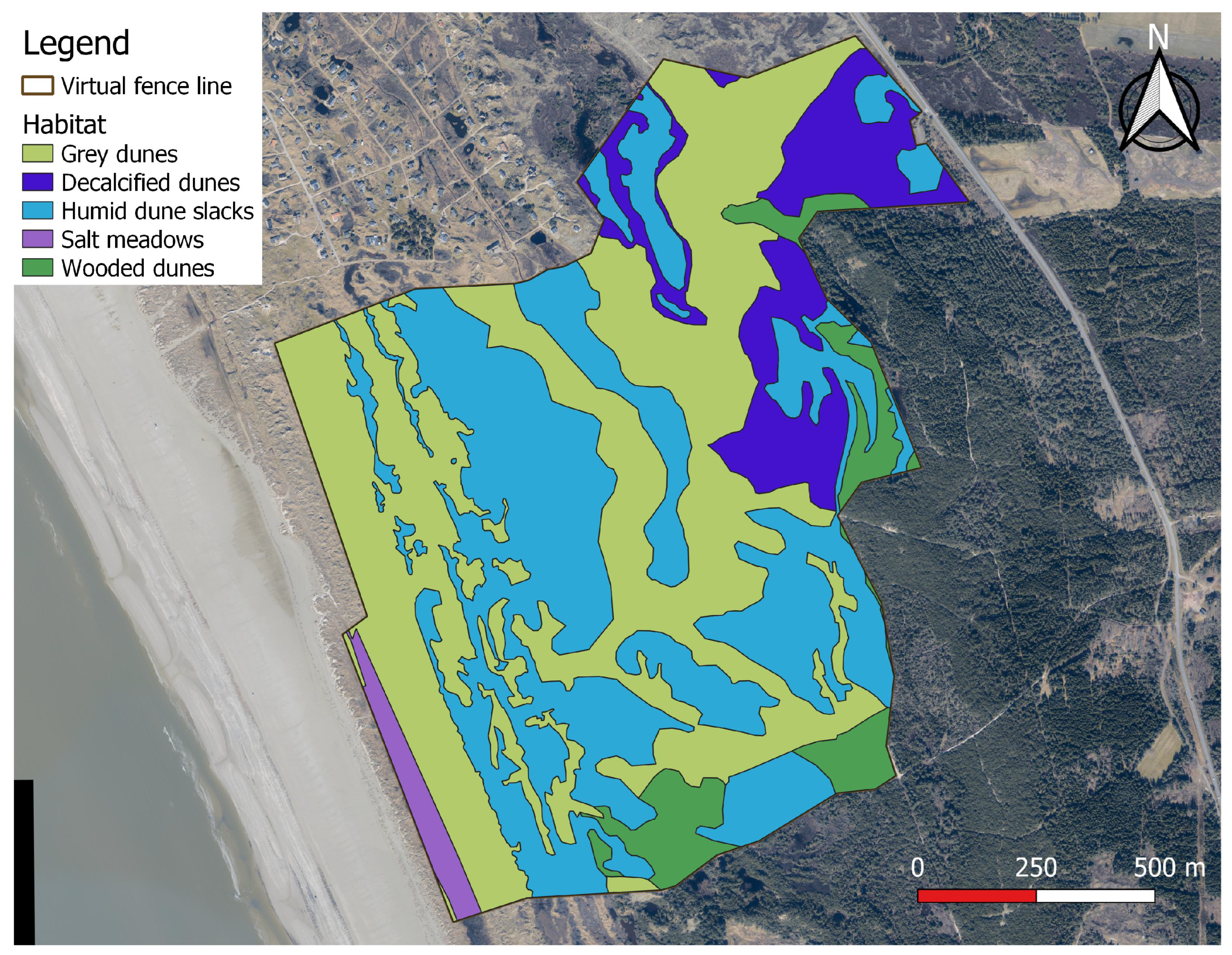 Animals 14 01506 g001