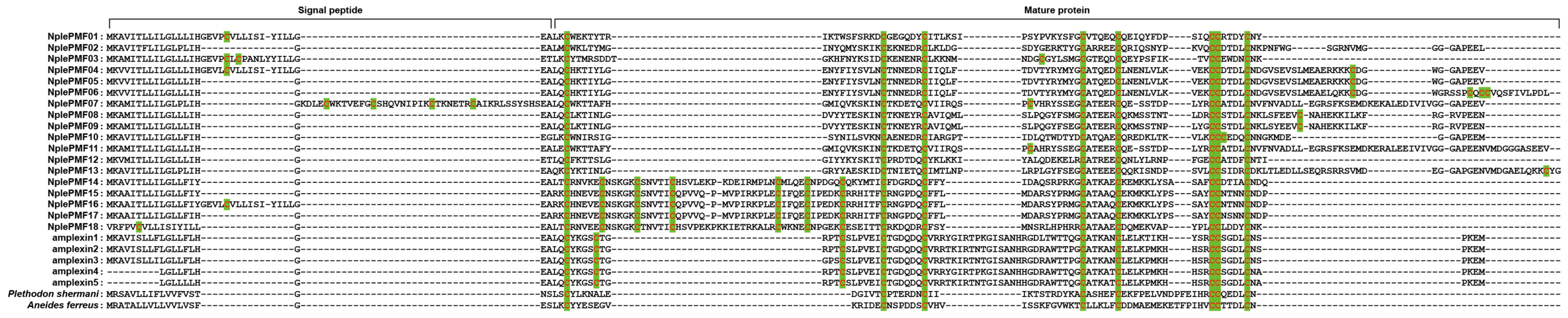 Animals 14 01550 g002