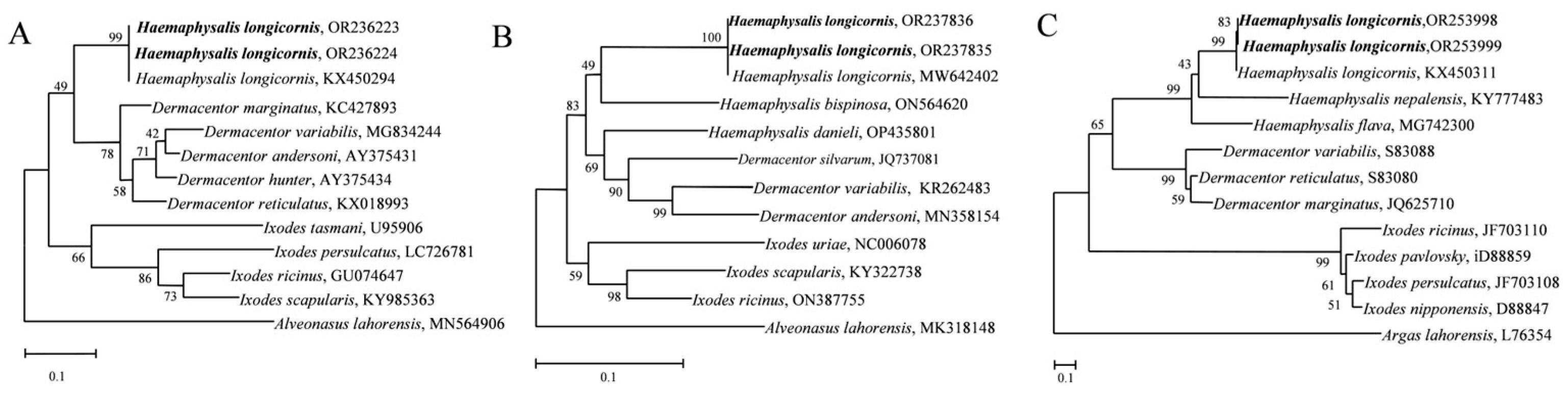 Animals 14 01557 g002