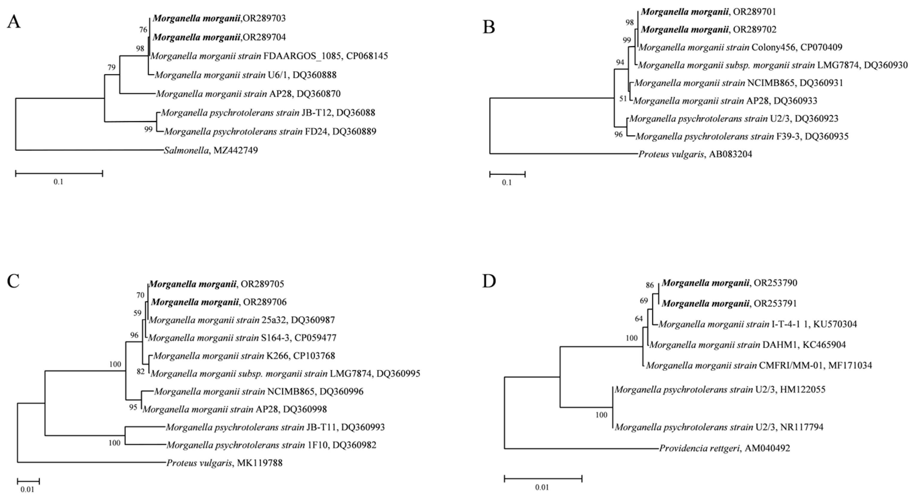 Animals 14 01557 g006