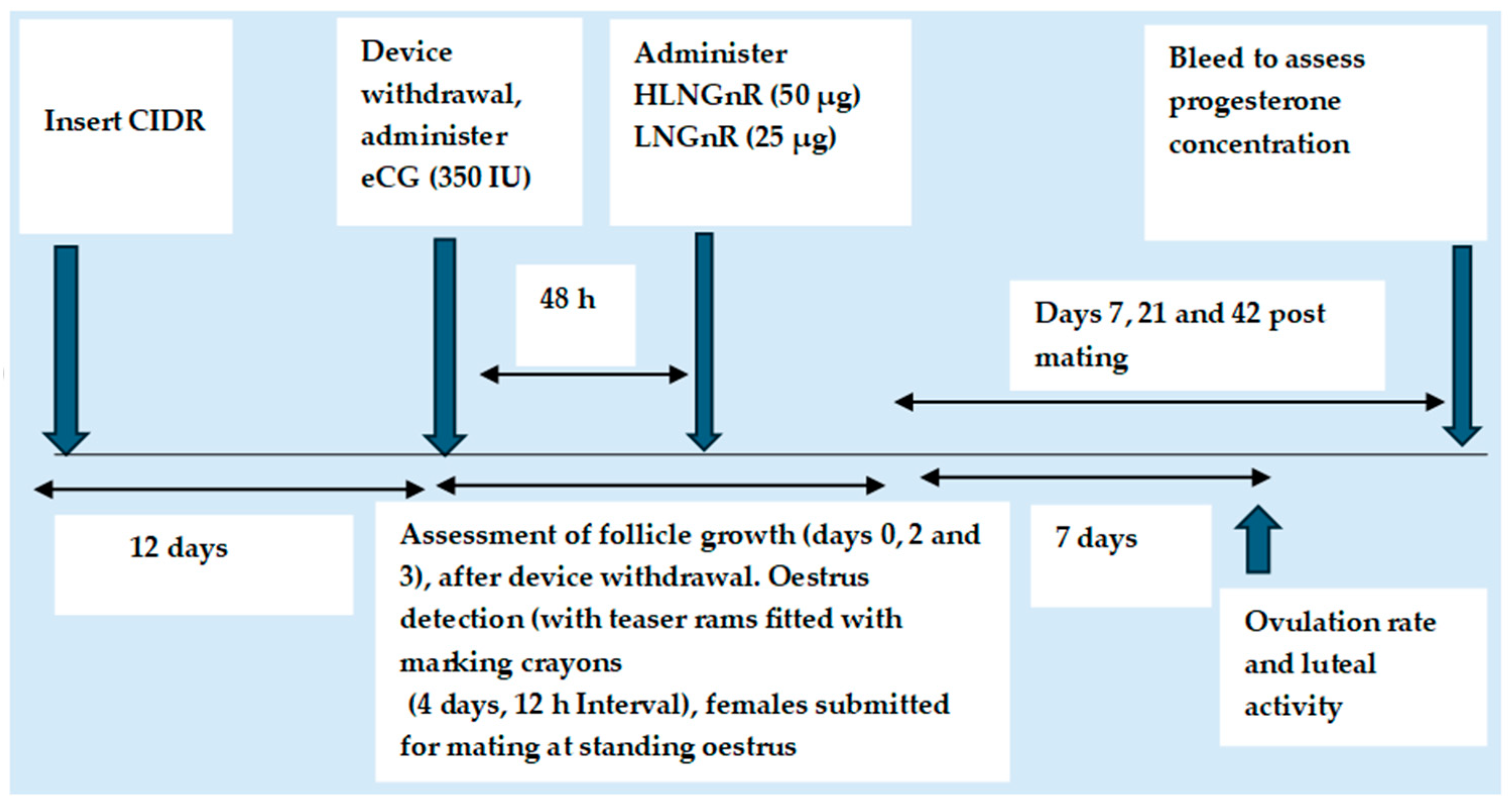 Animals 14 01560 g003
