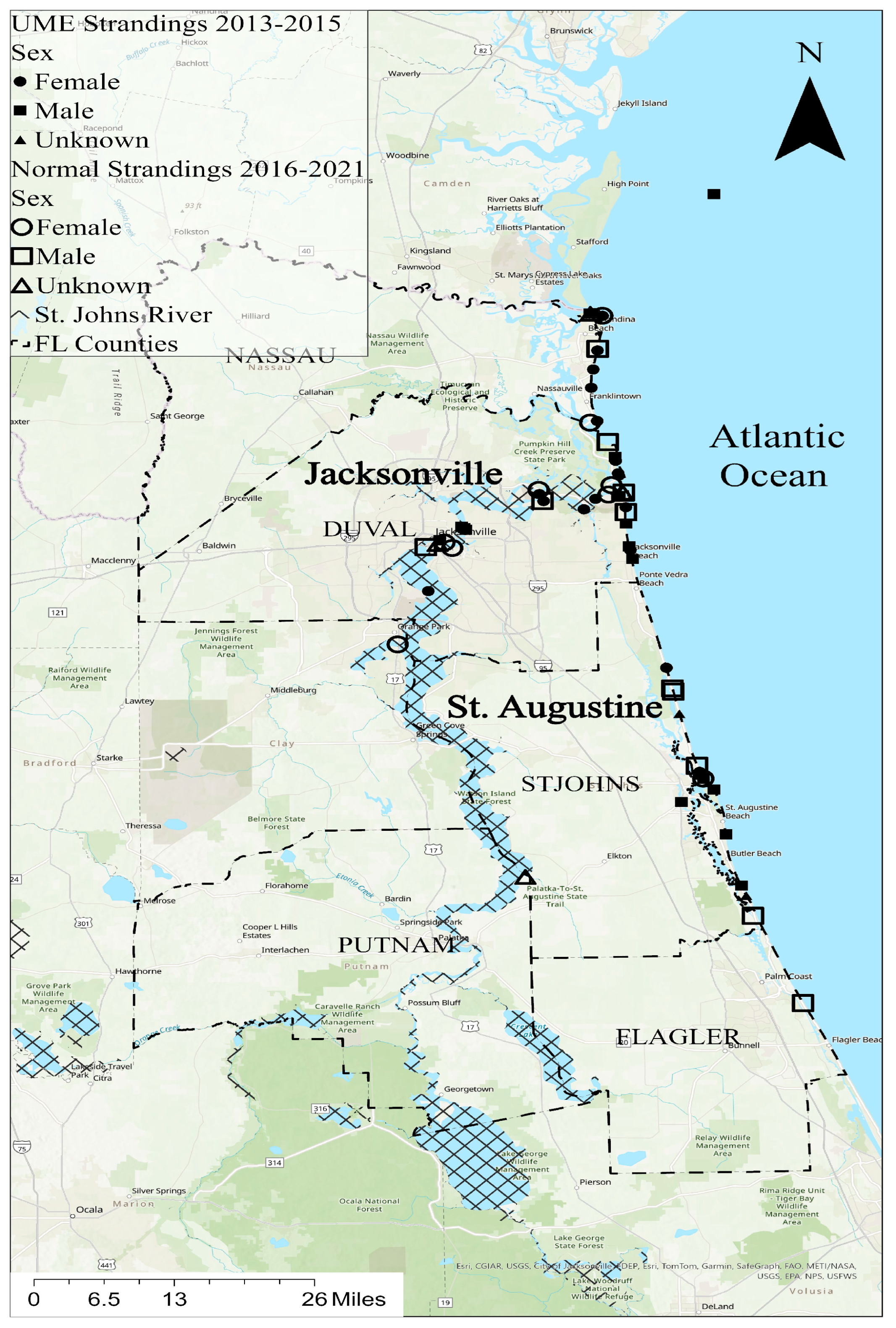 Animals 14 01571 g001