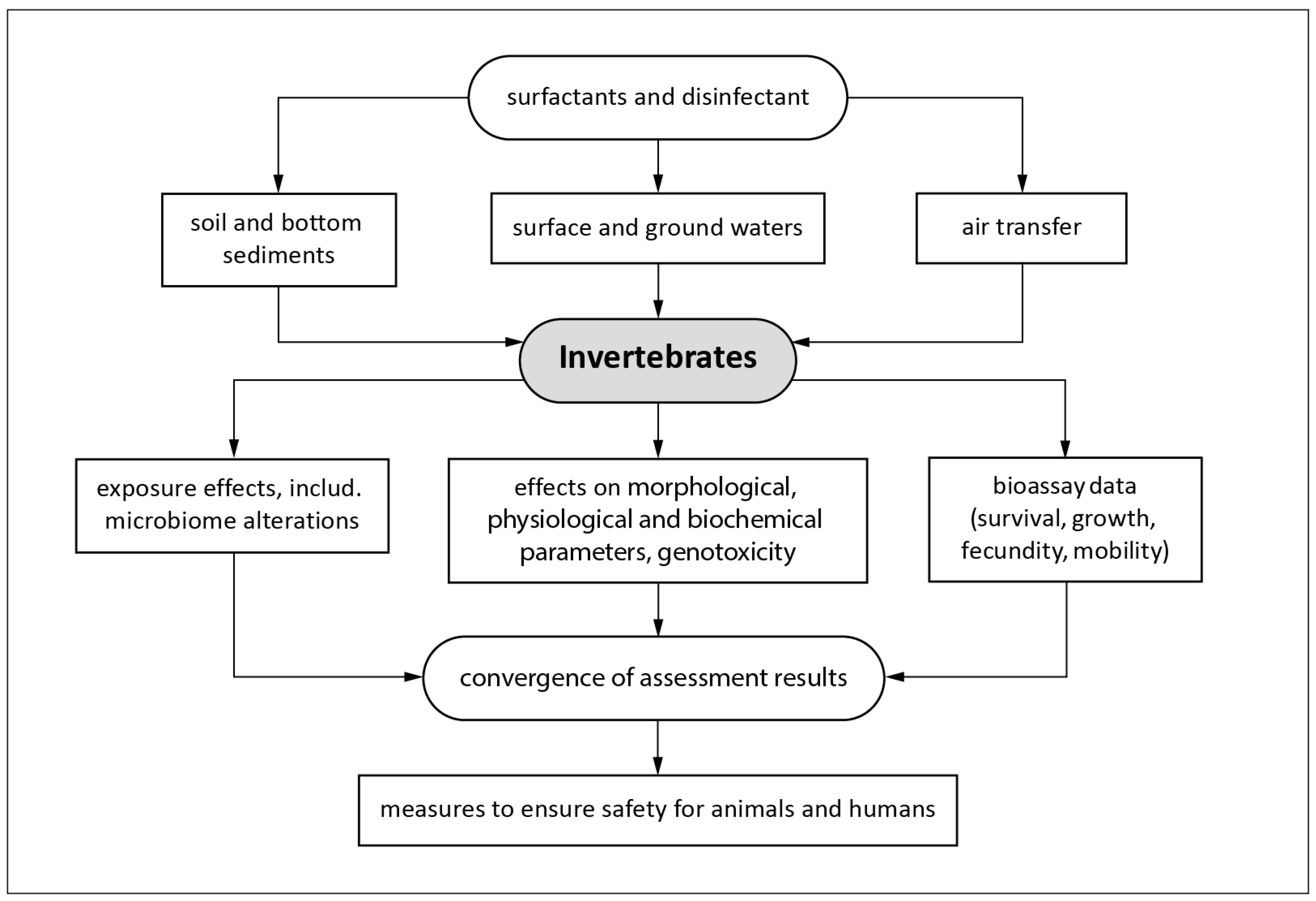 Animals 14 01584 g002