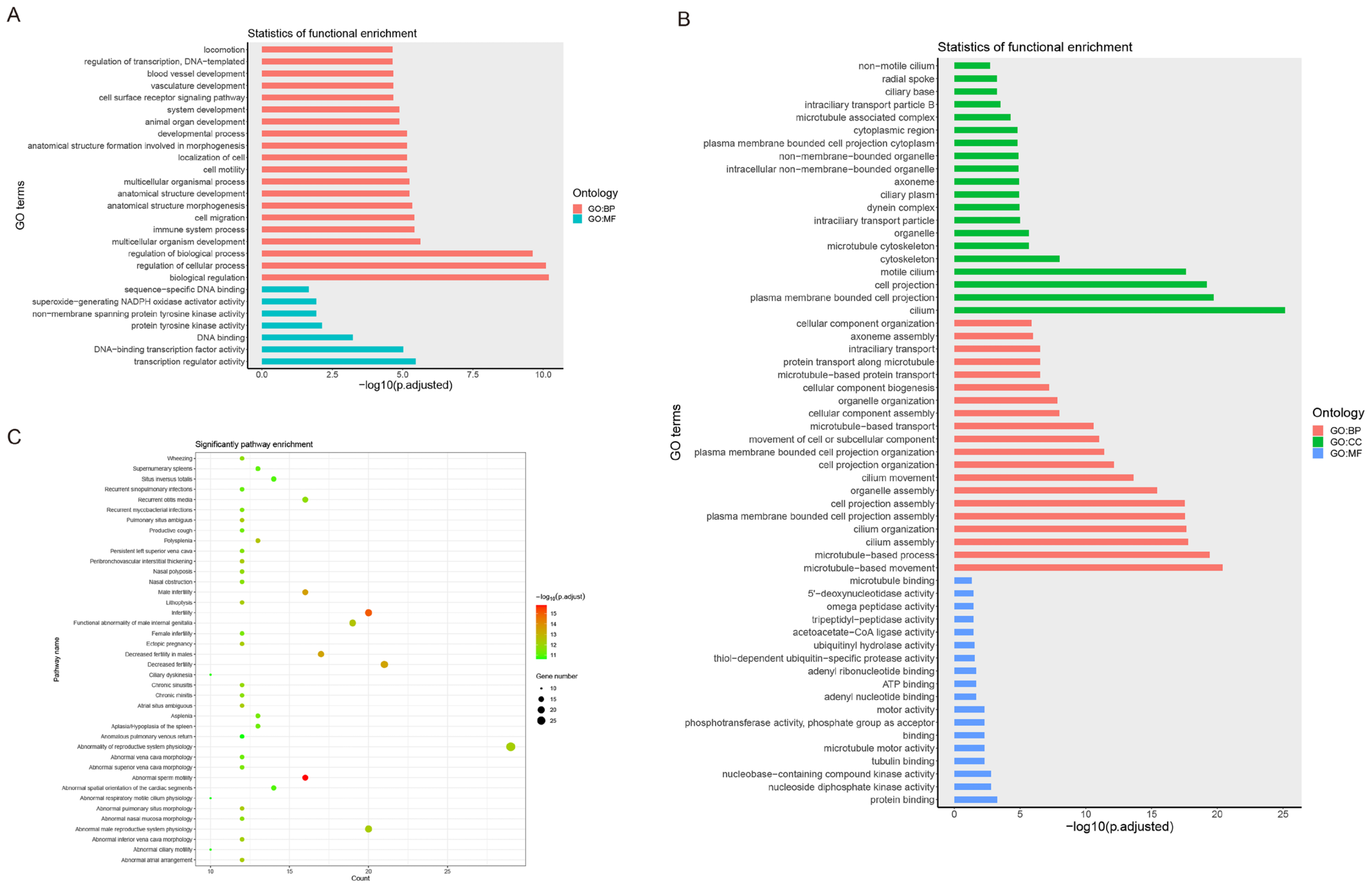 Animals 14 01586 g002