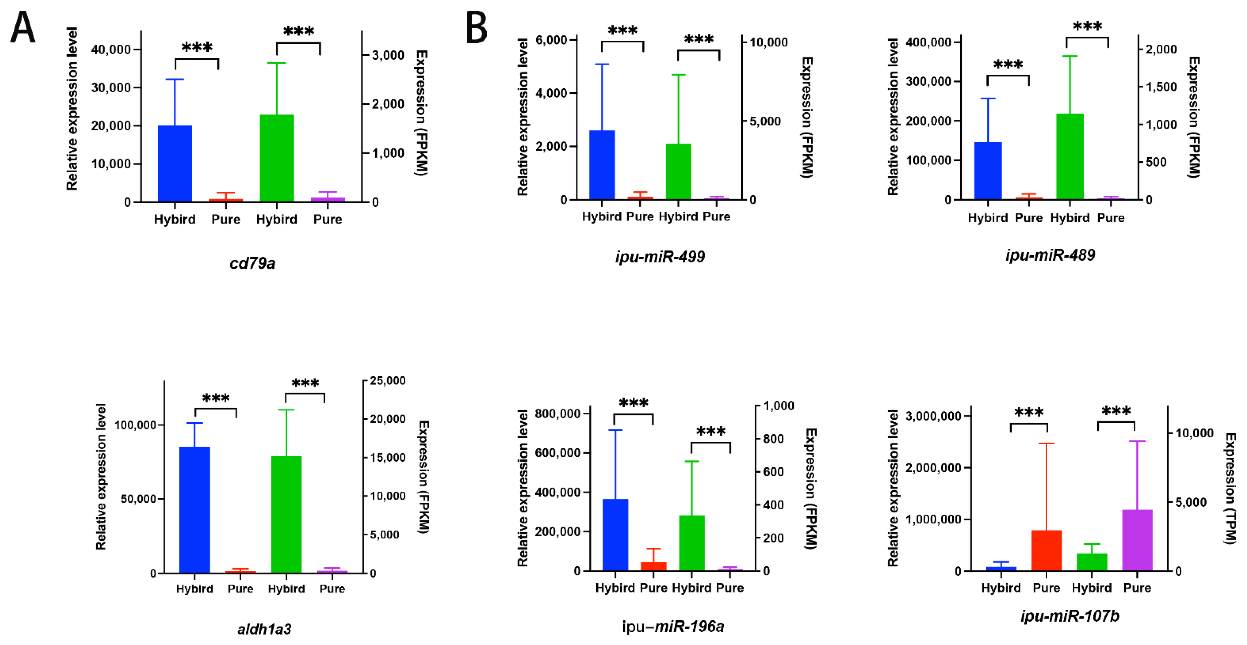 Animals 14 01586 g004