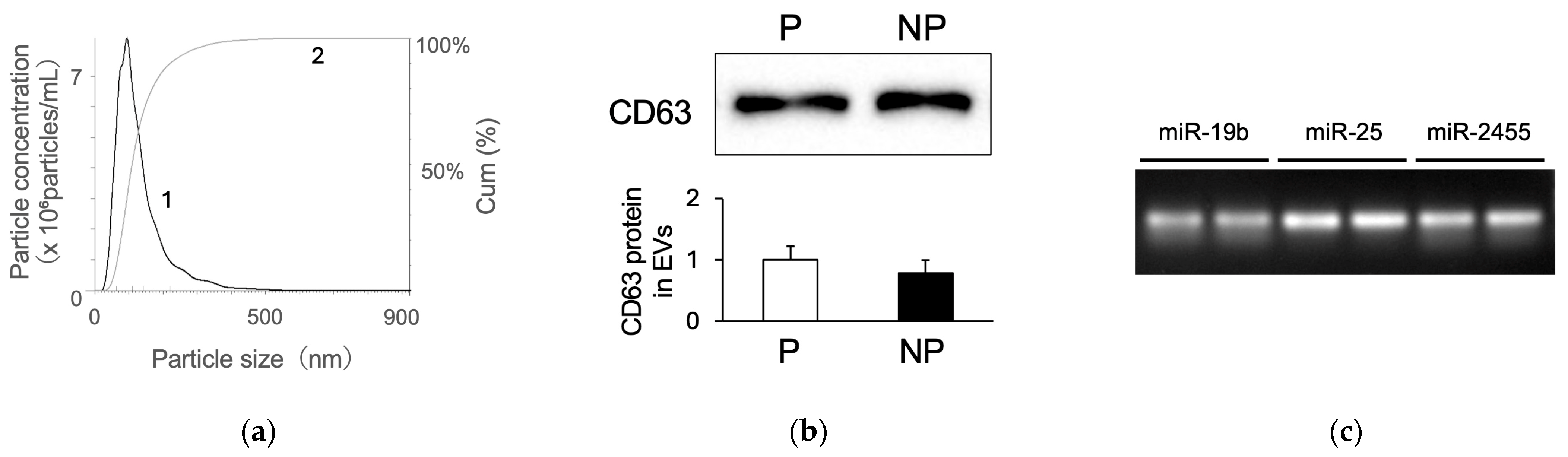 Animals 14 01592 g006