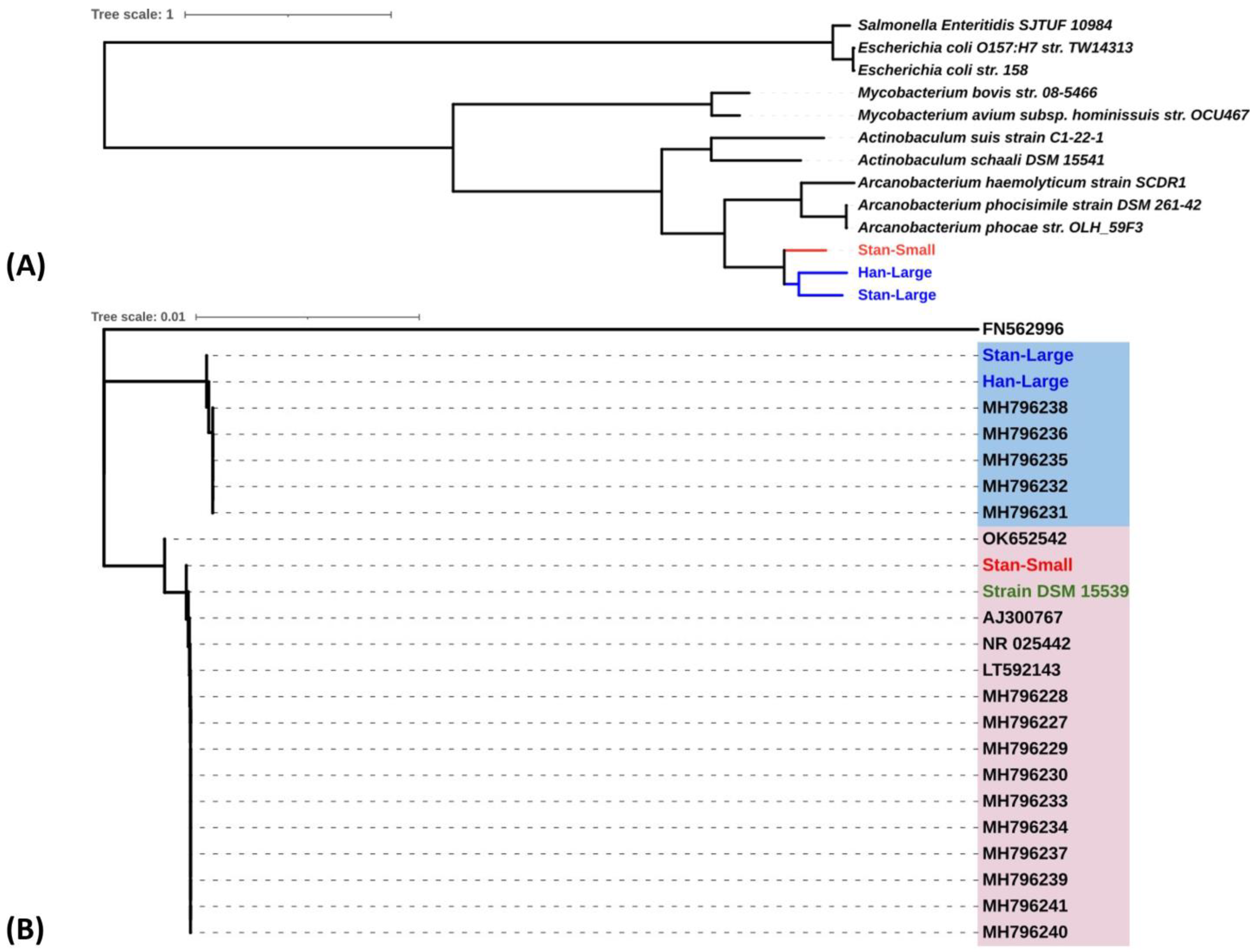 Animals 14 01609 g006