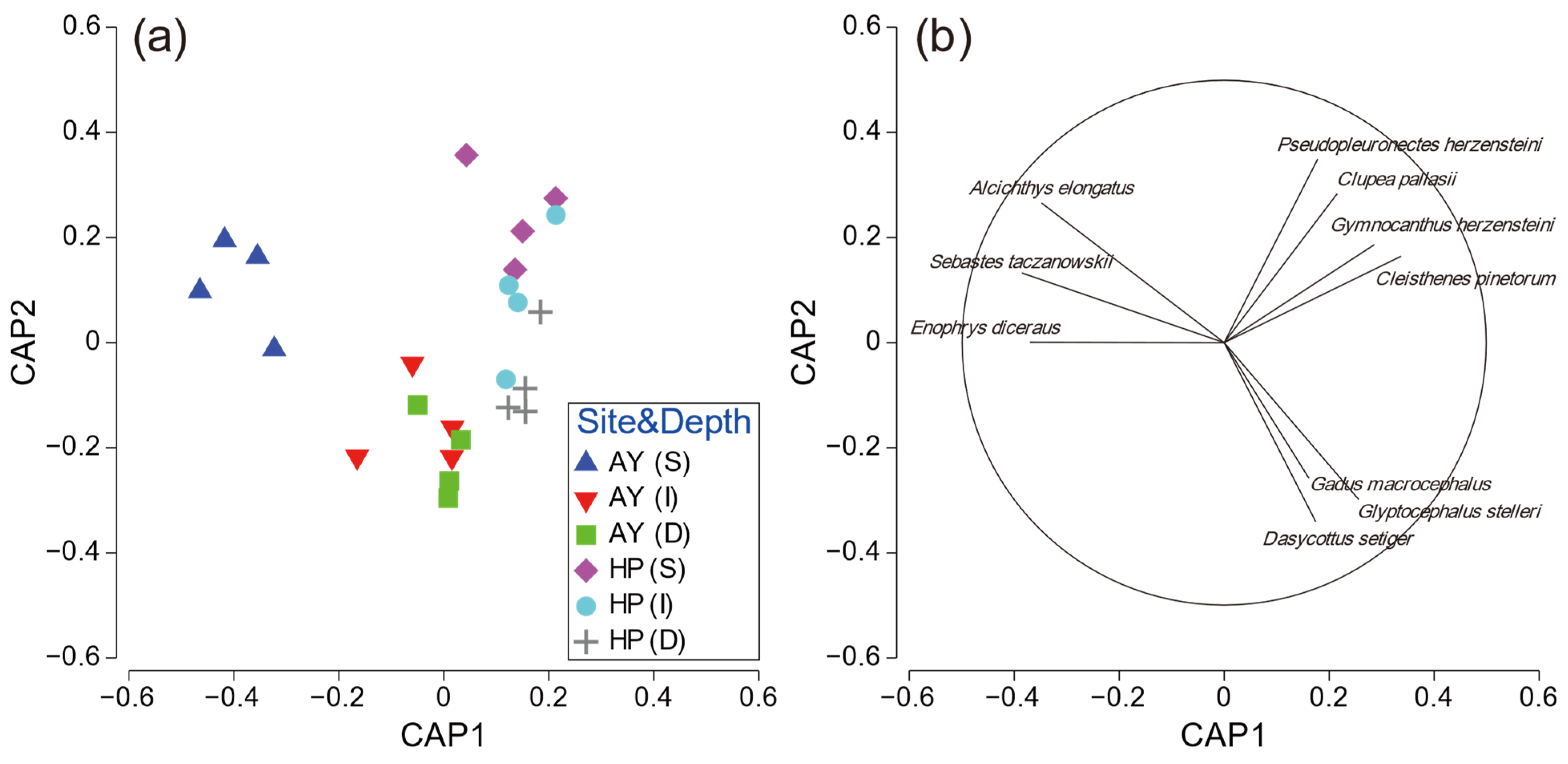 Animals 14 01612 g006