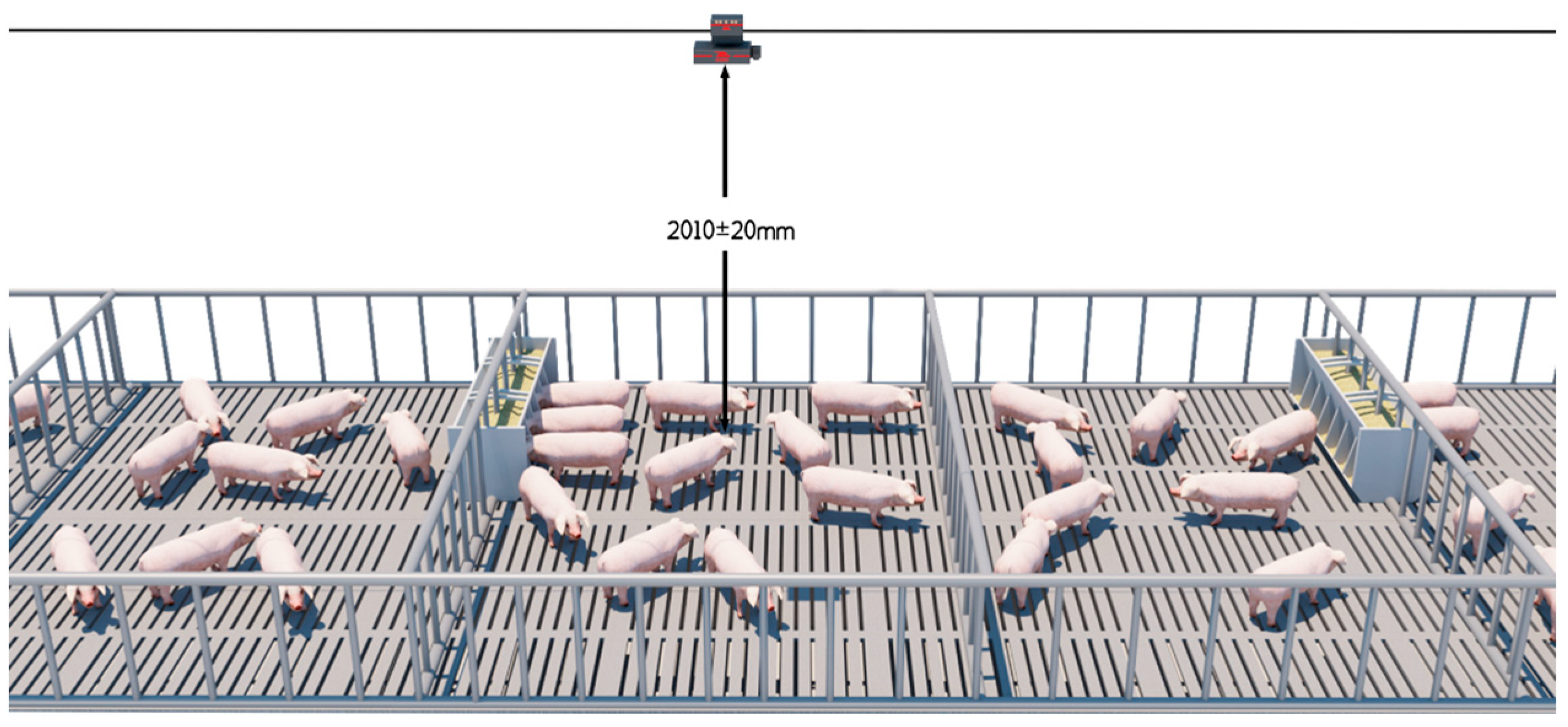 Animals 14 01614 g001