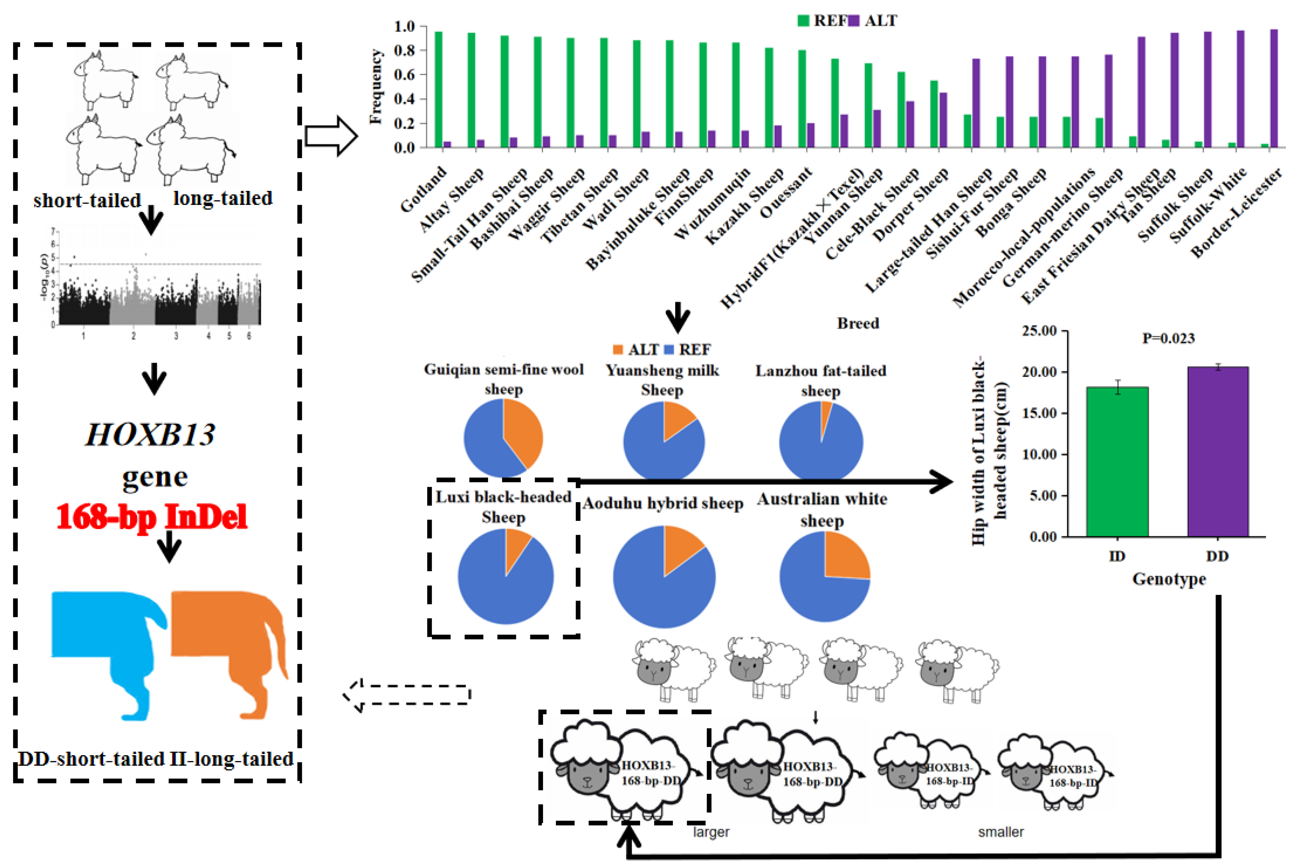 Animals 14 01617 g001