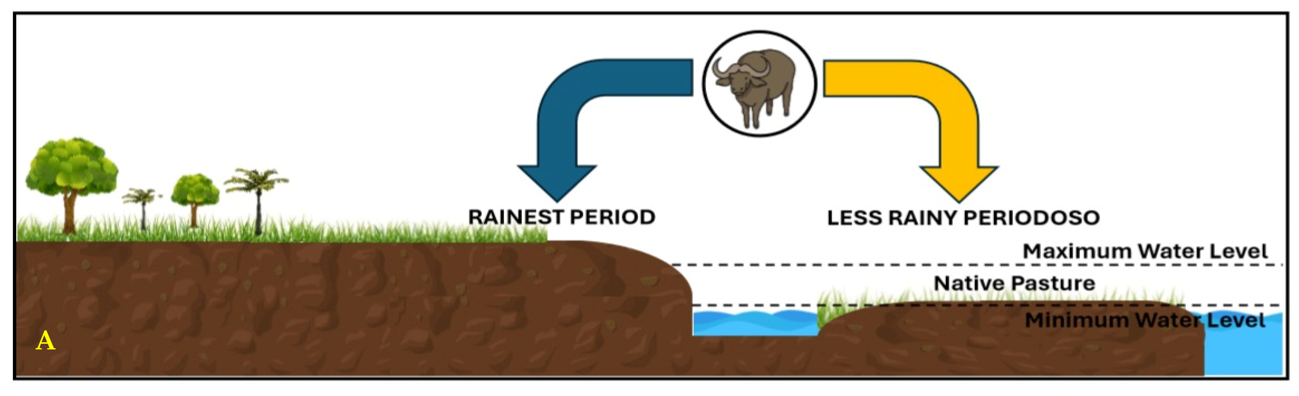 Animals 14 01618 g001a