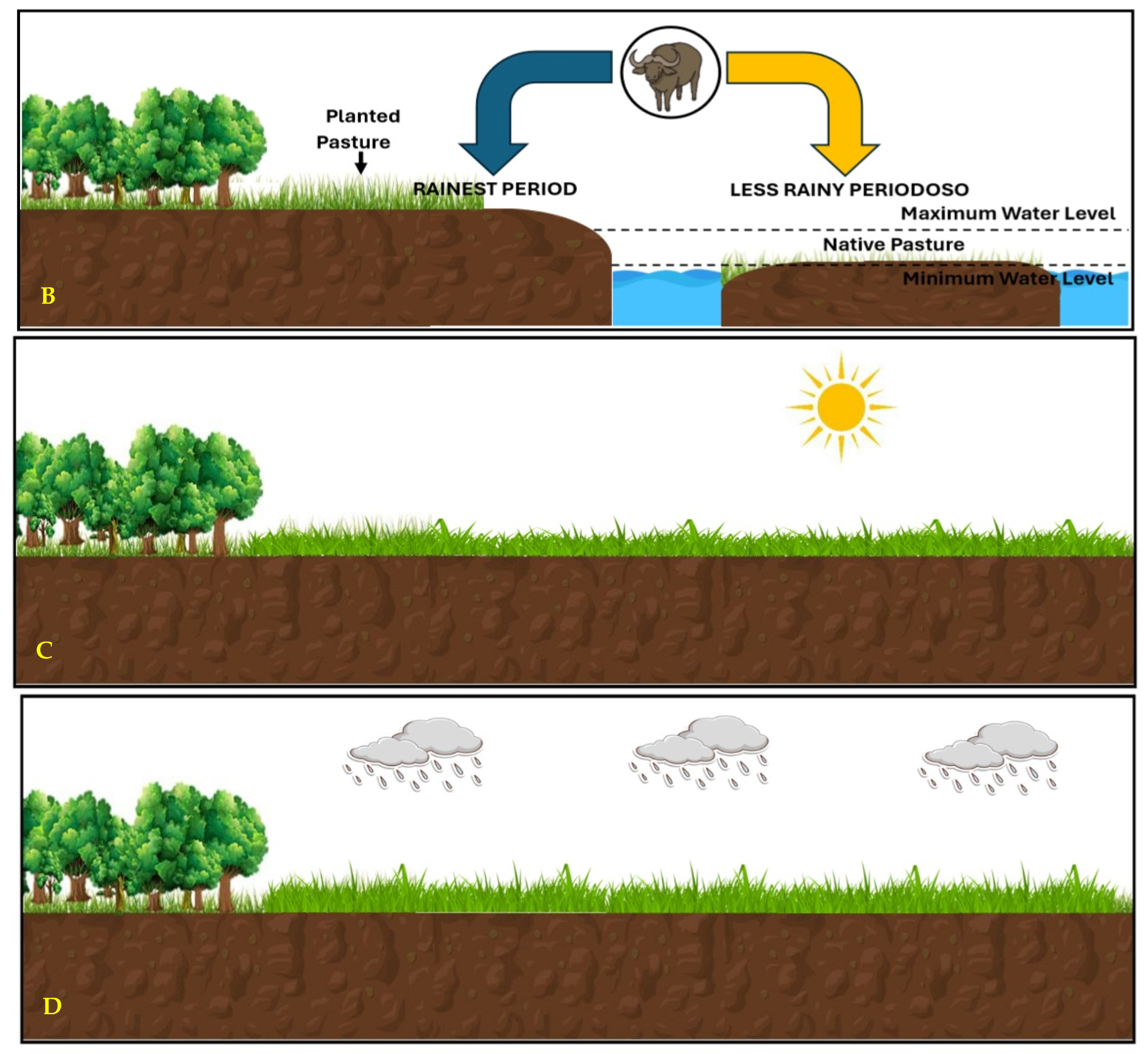 Animals 14 01618 g001b