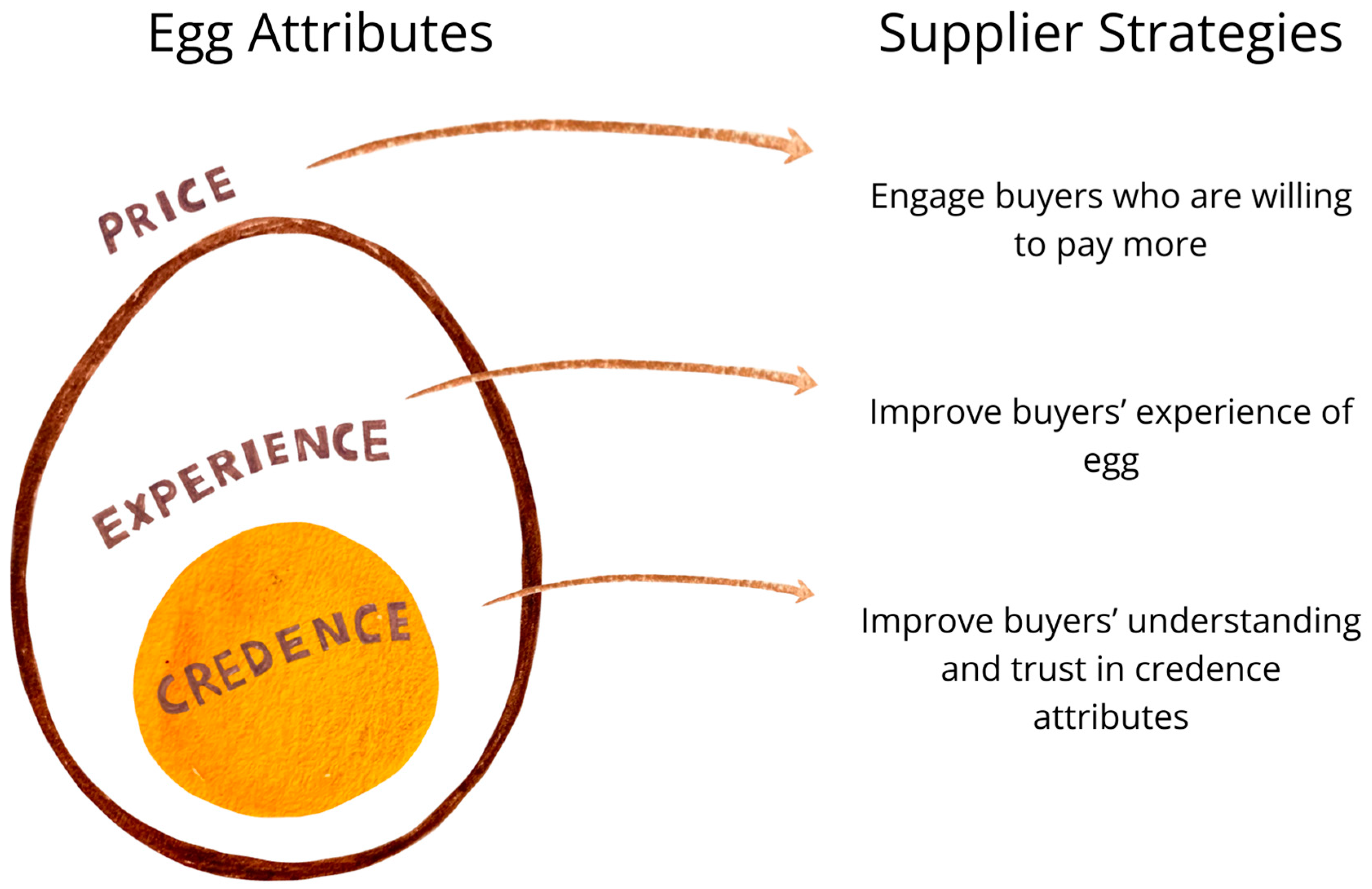 Animals 14 01625 g001