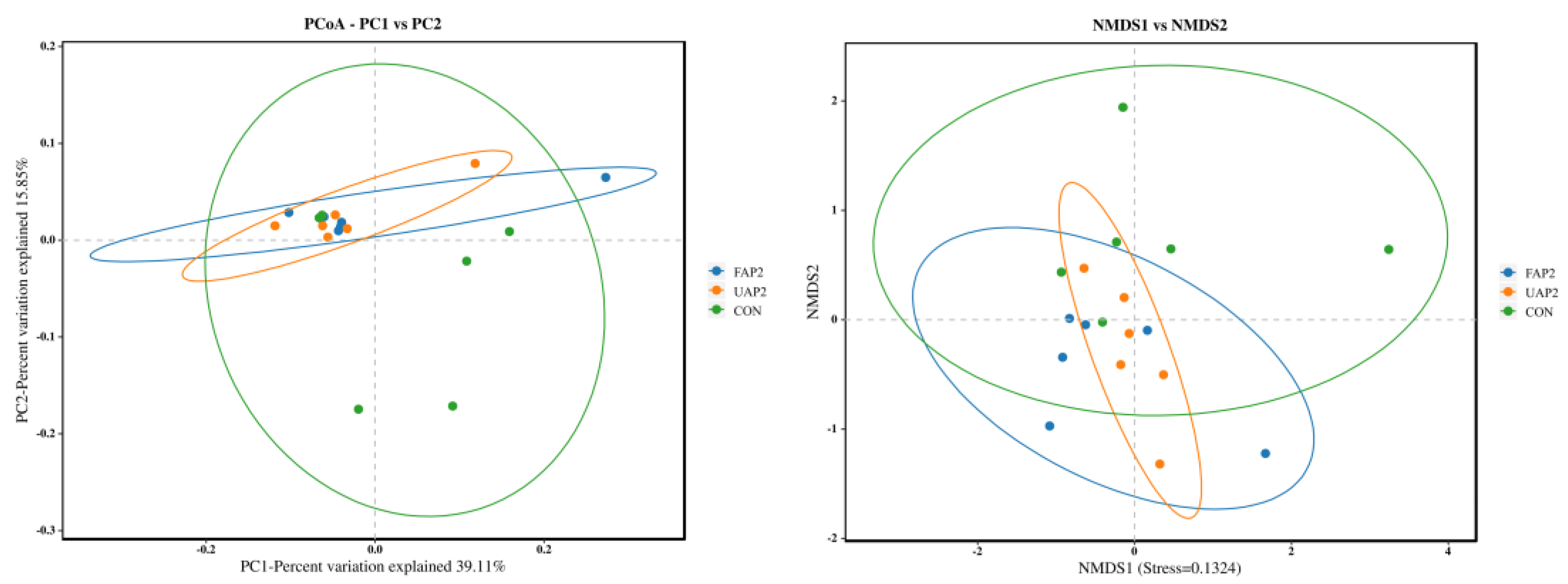 Animals 14 01628 g006