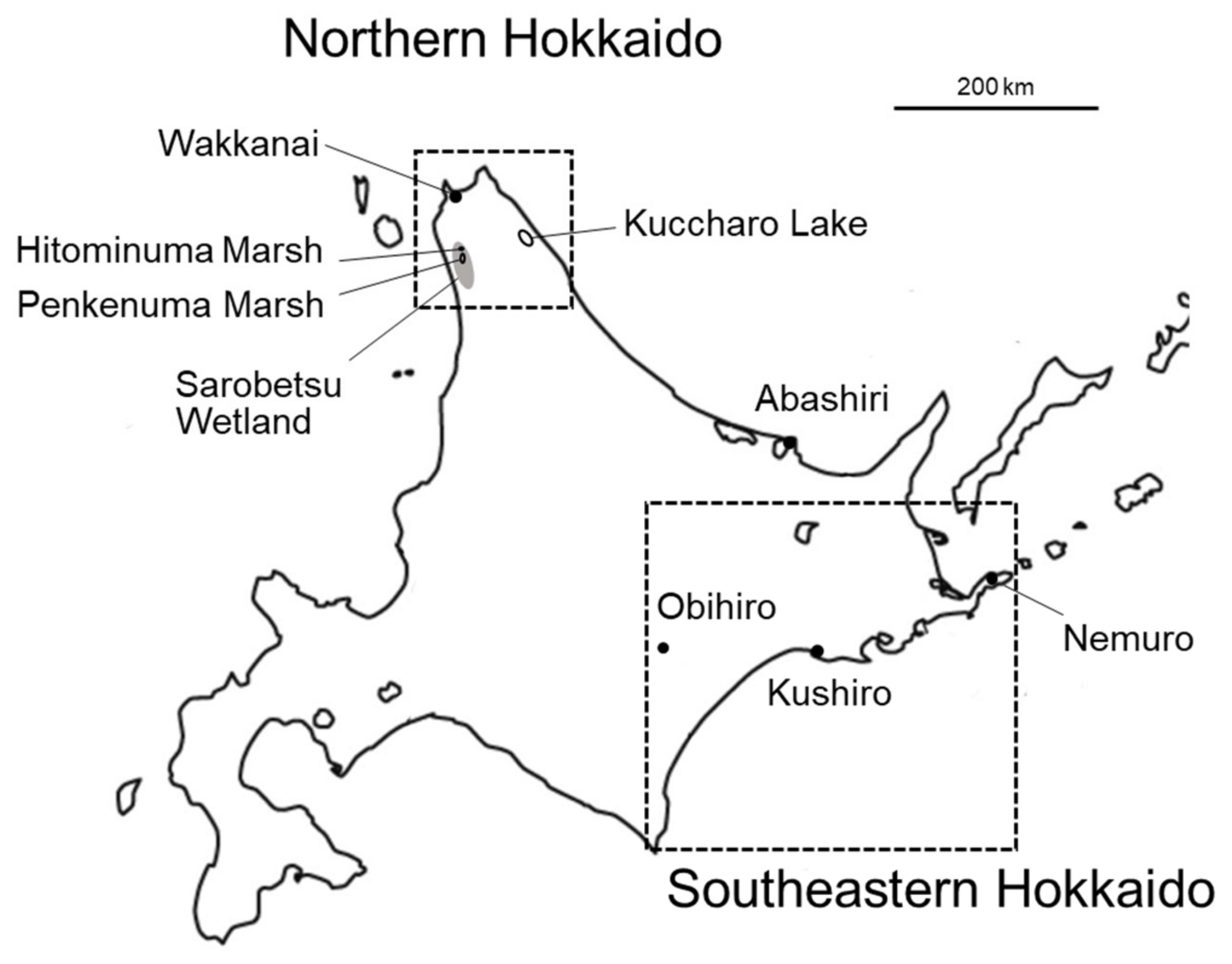 Animals 14 01633 g001