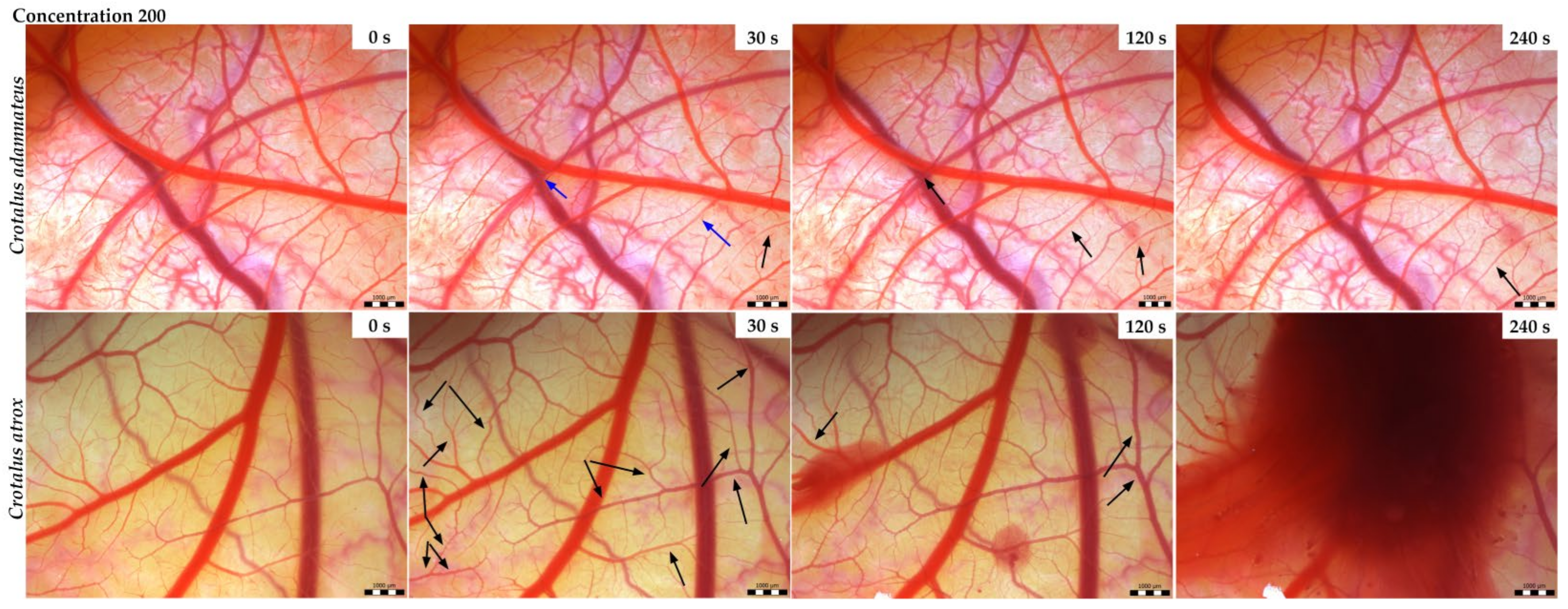 Animals 14 01634 g003