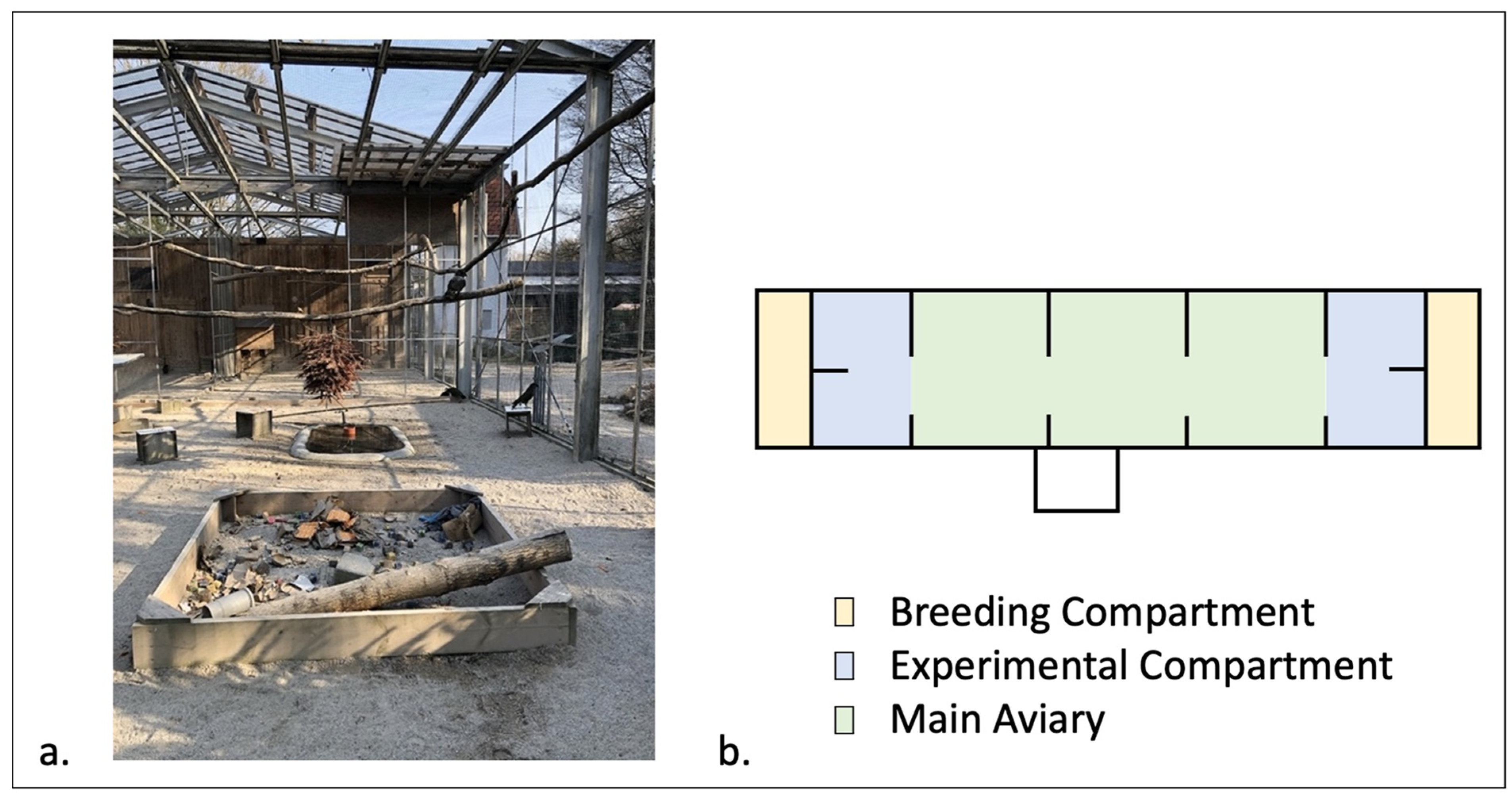 Animals 14 01651 g001