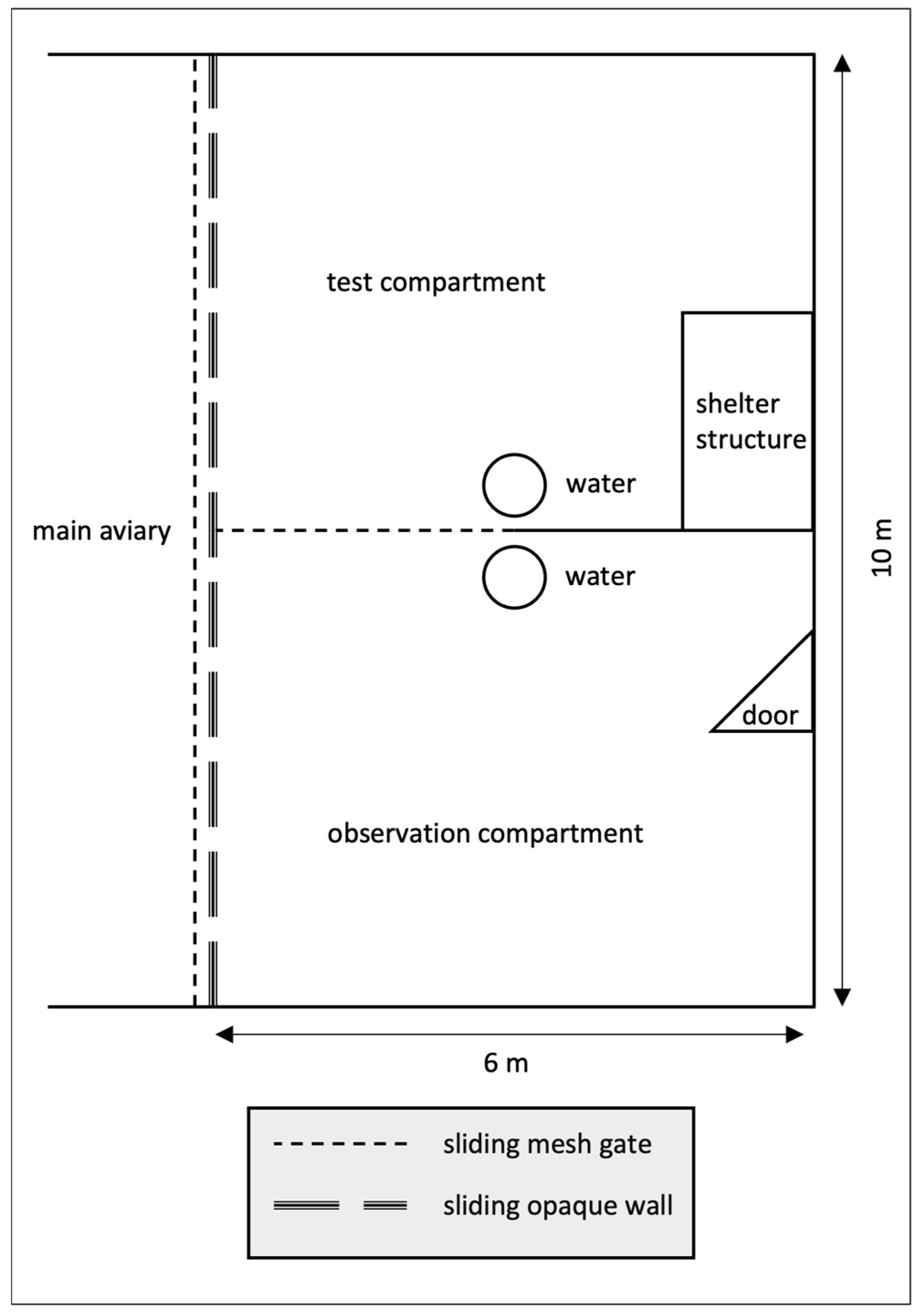 Animals 14 01651 g002