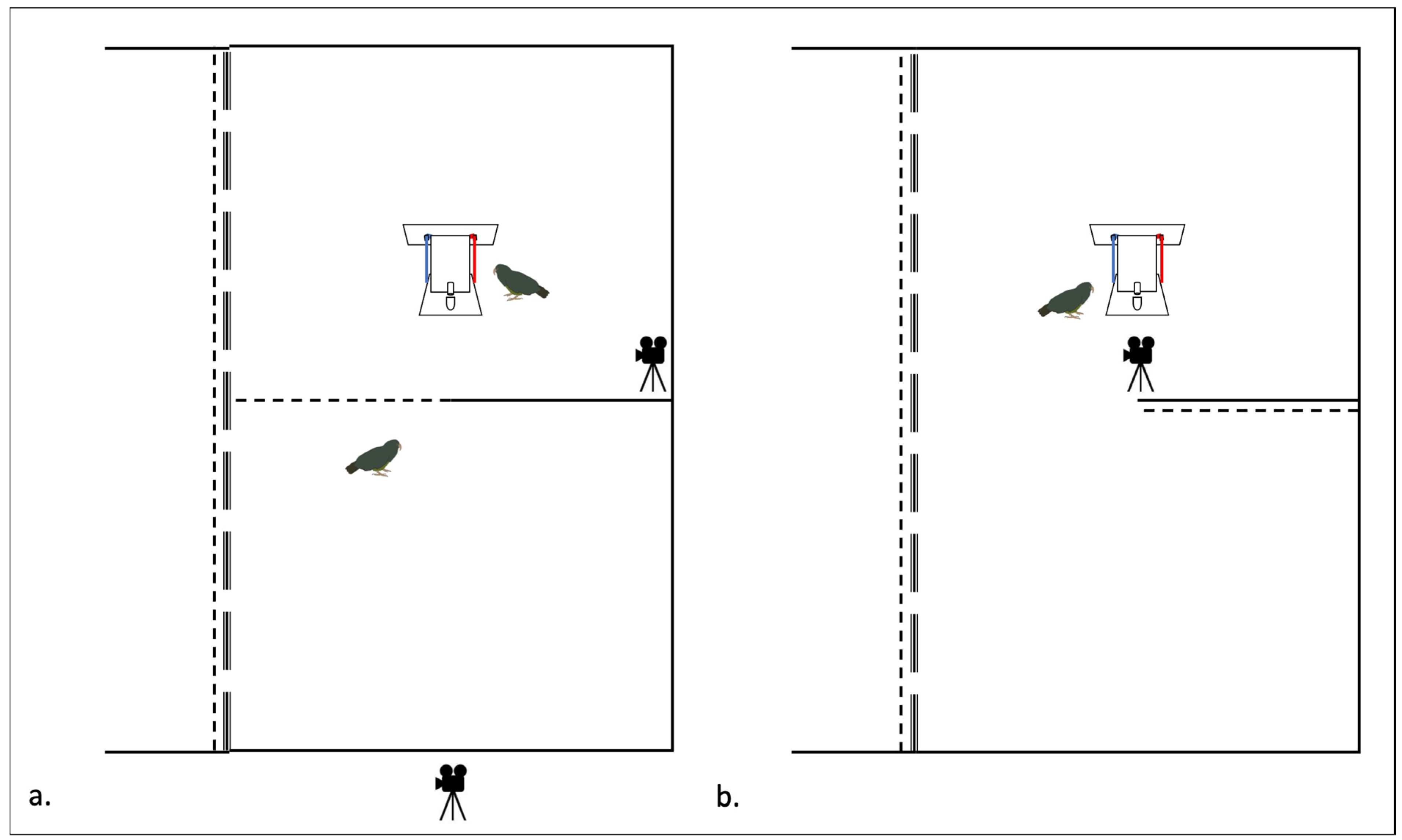 Animals 14 01651 g004