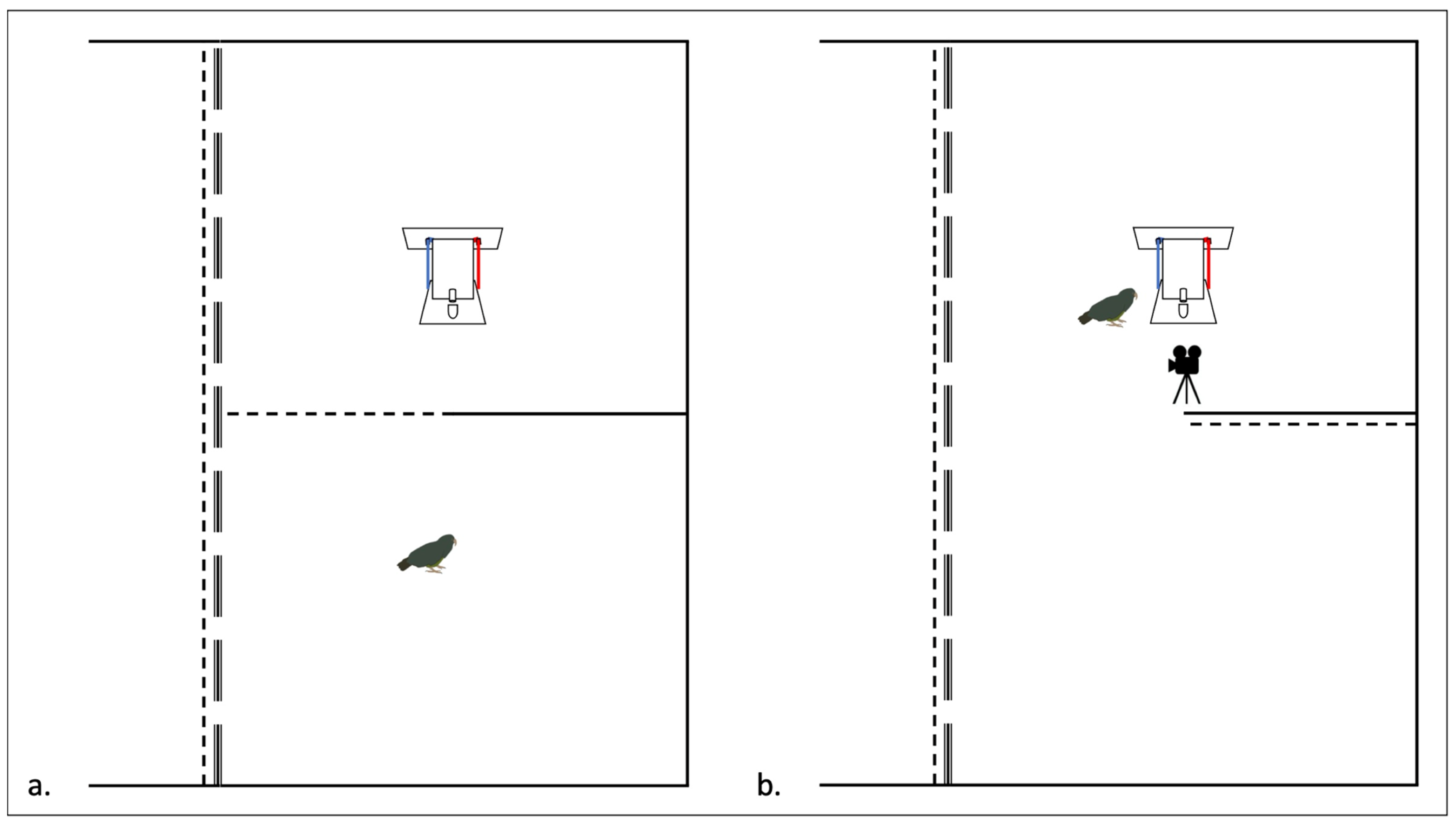 Animals 14 01651 g005