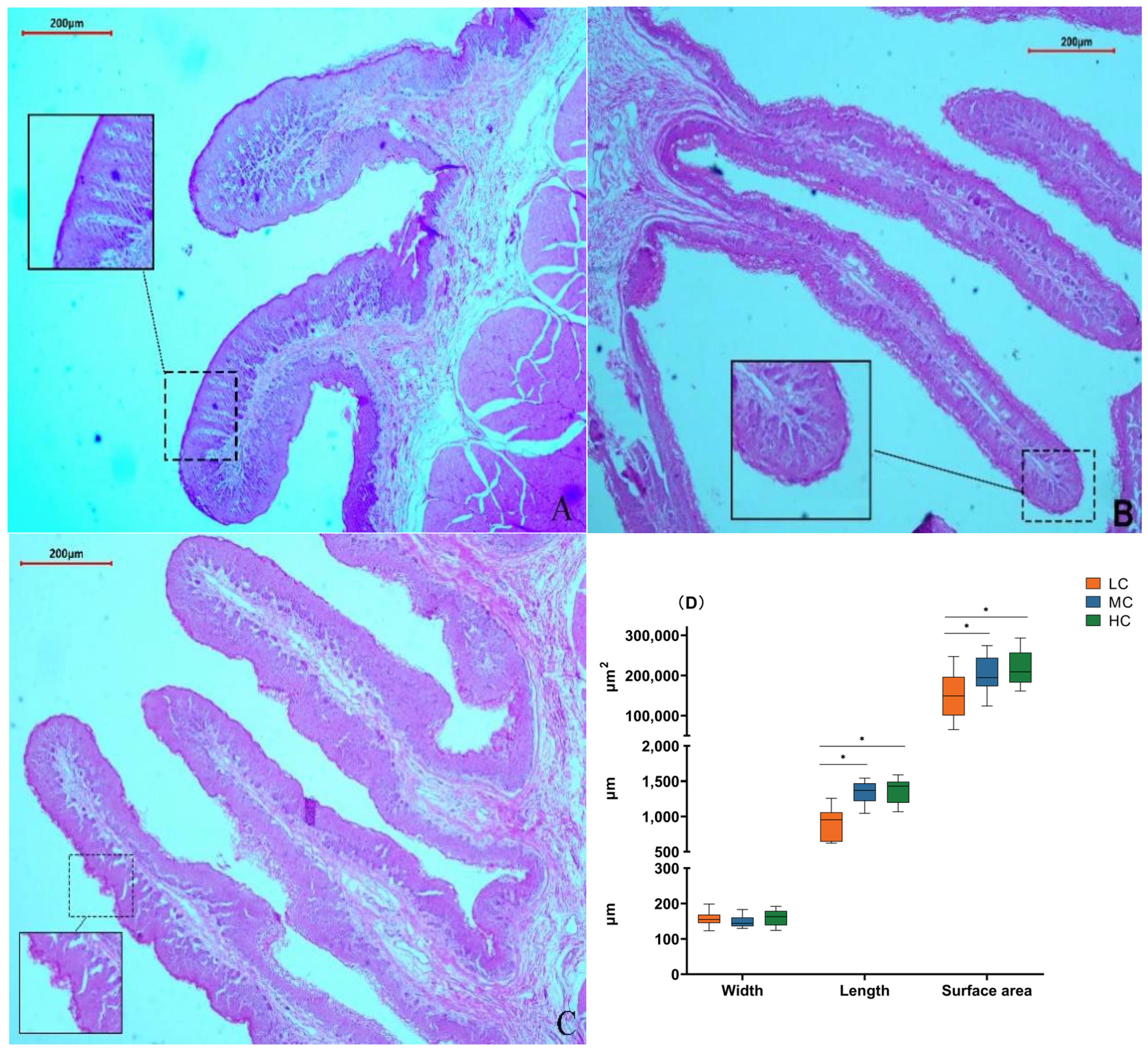Animals 14 01666 g002