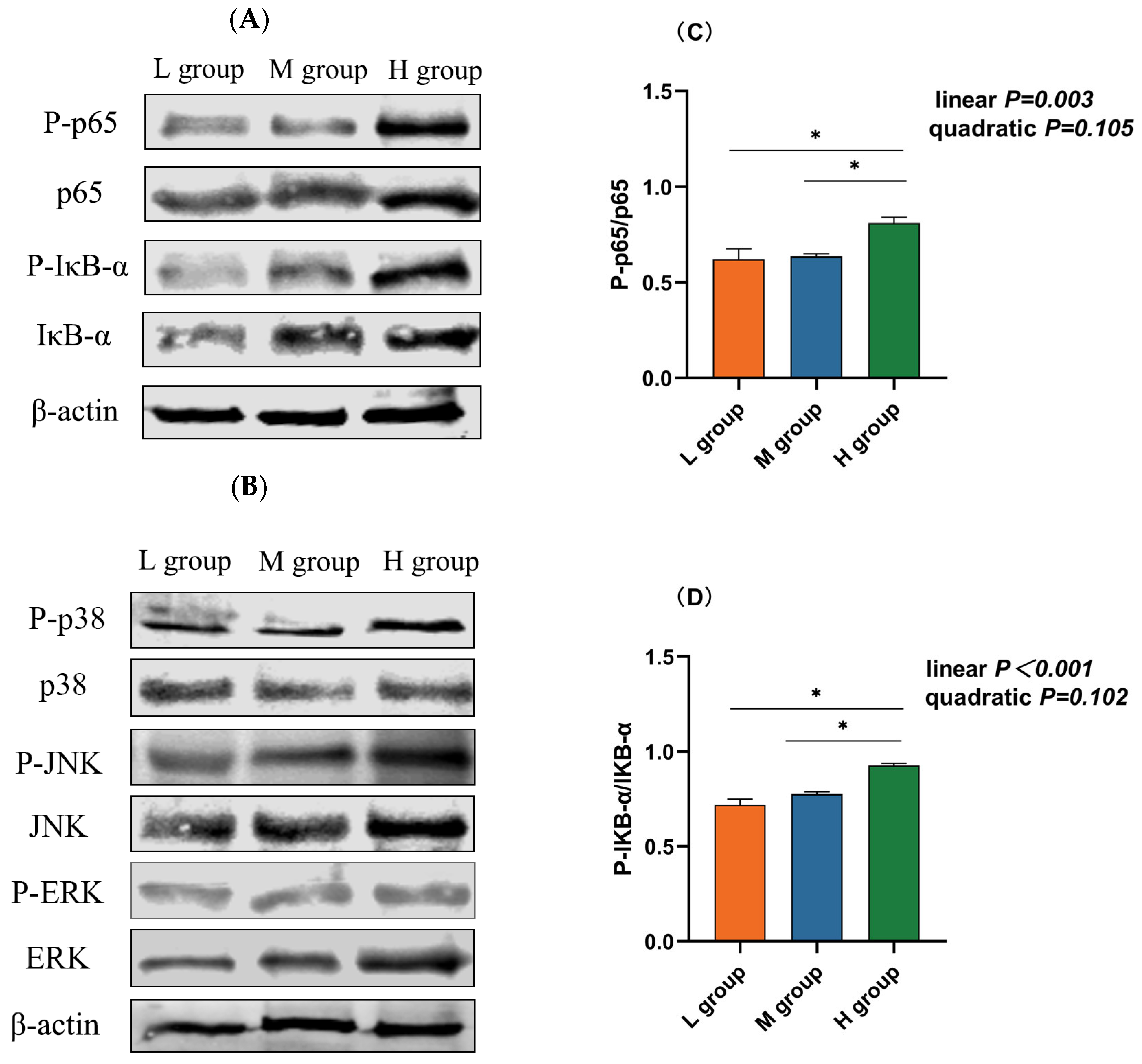 Animals 14 01666 g005a